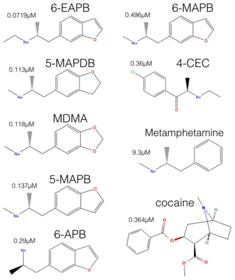 Molecules | Free Full-Text | Allosteric Binding of MDMA to the Human  Serotonin Transporter (hSERT) via Ensemble Binding Space Analysis with  &Delta;G Calculations, Induced Fit Docking and Monte Carlo Simulations