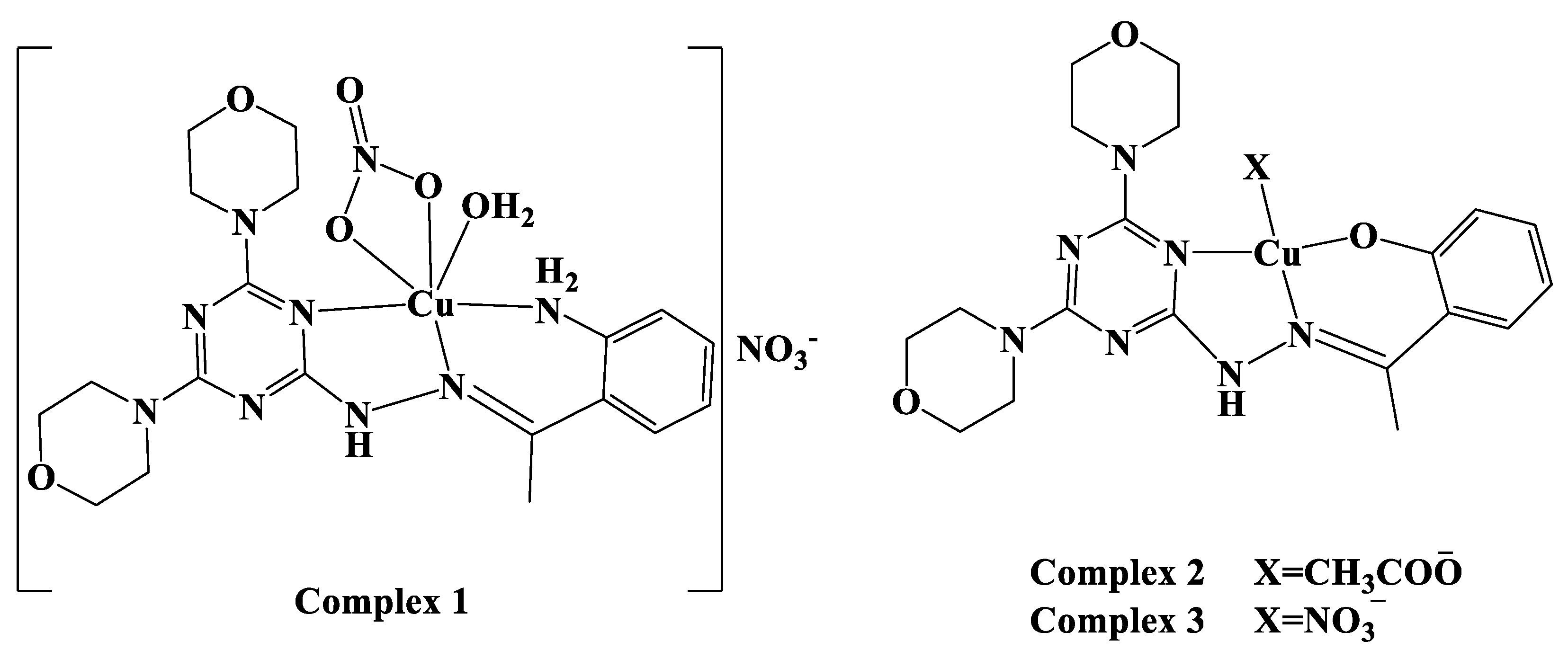 Molecules 27 02989 g002