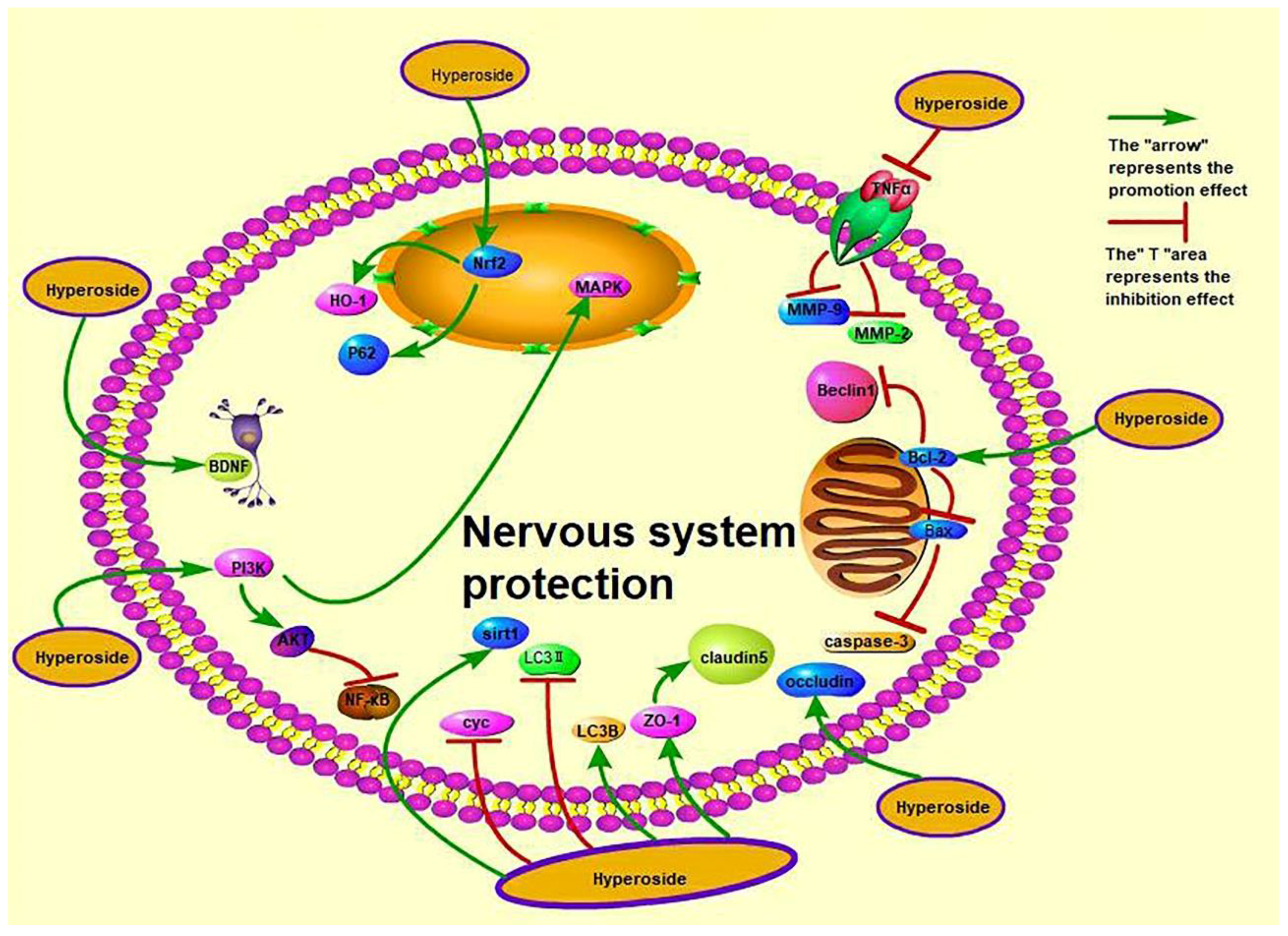 Molecules 27 03009 g004