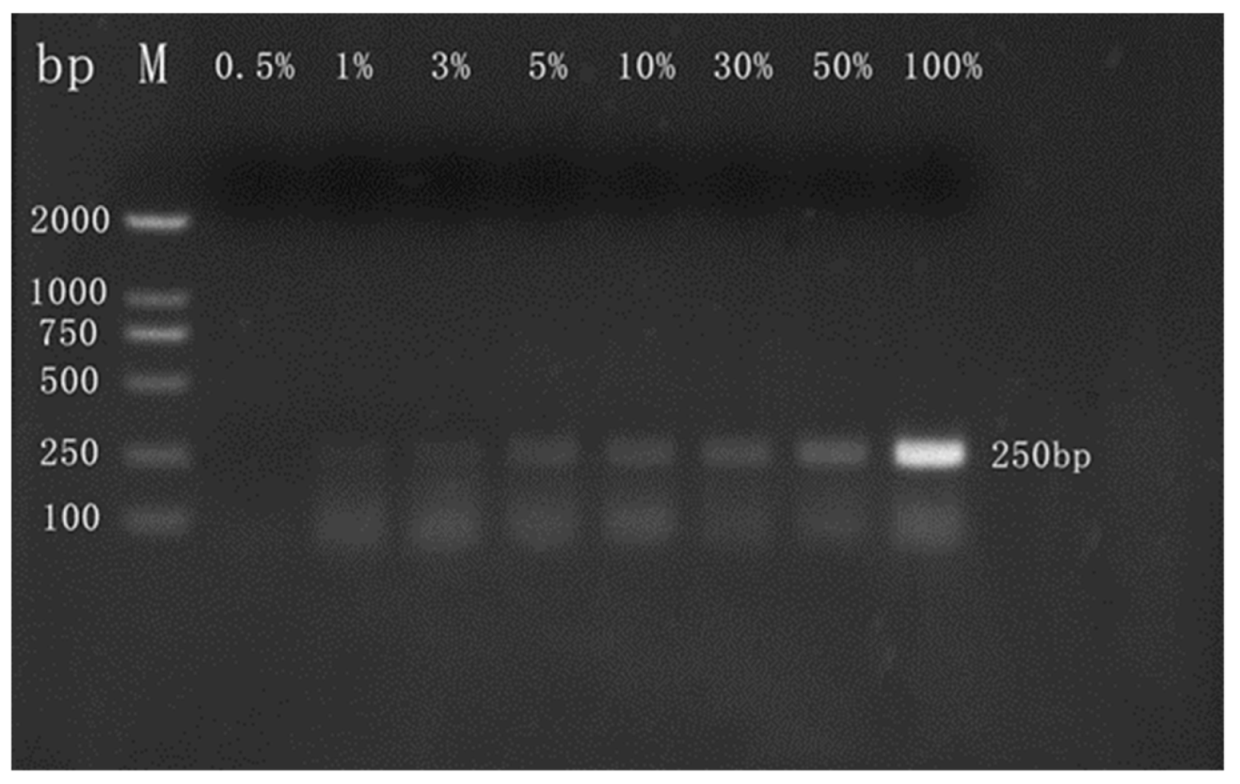 Molecules 27 03017 g004