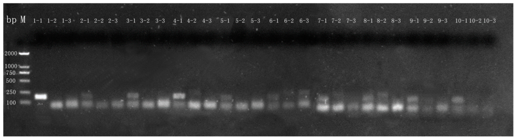 Molecules 27 03017 g005