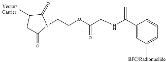 Molecules | Free Full-Text | The Chemical Scaffold Of Theranostic ...