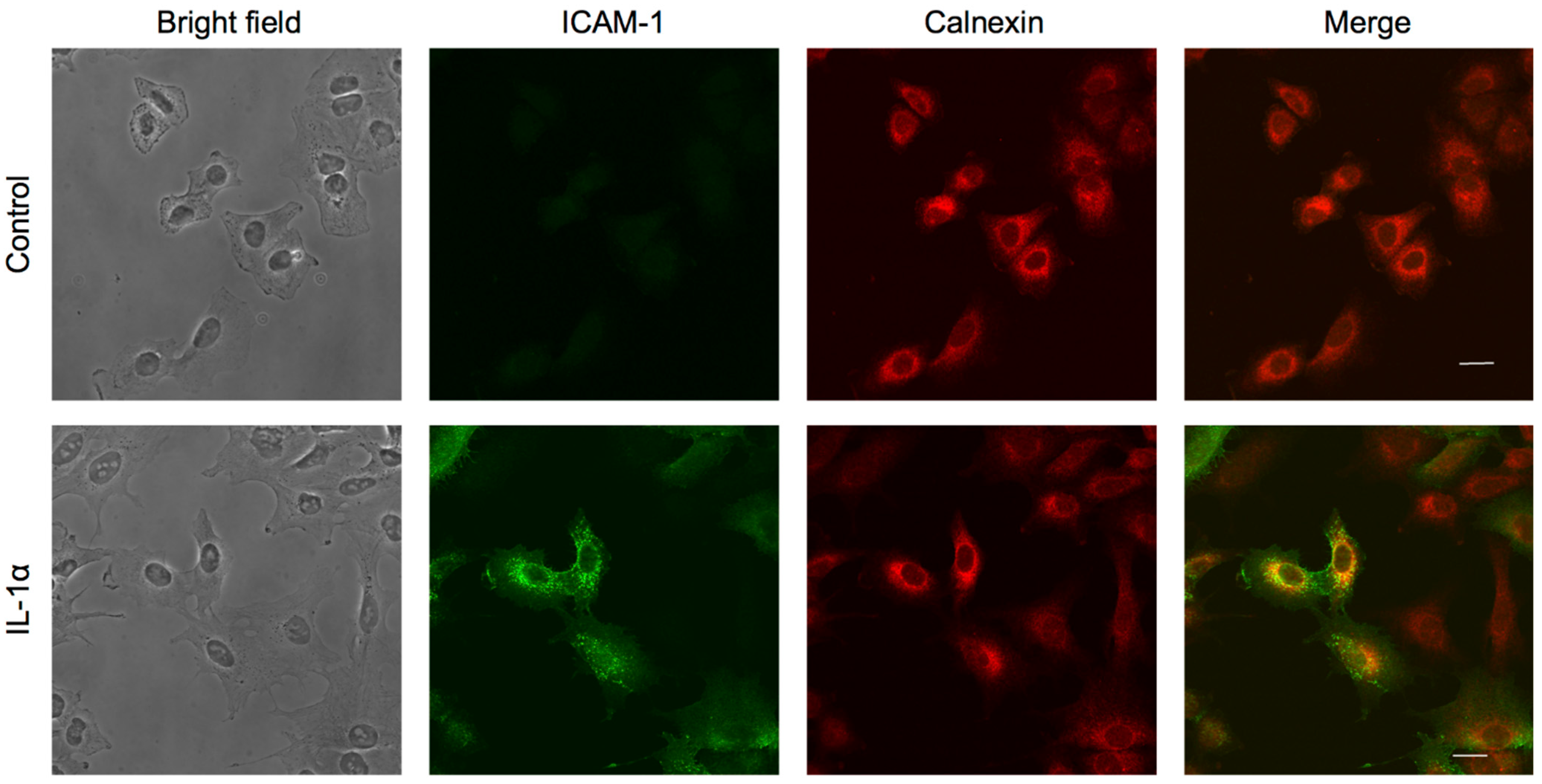 Molecules 27 03073 g007a