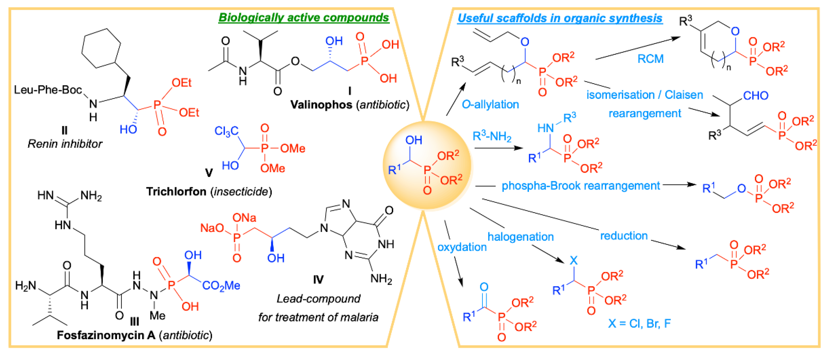 Molecules 27 03075 g001