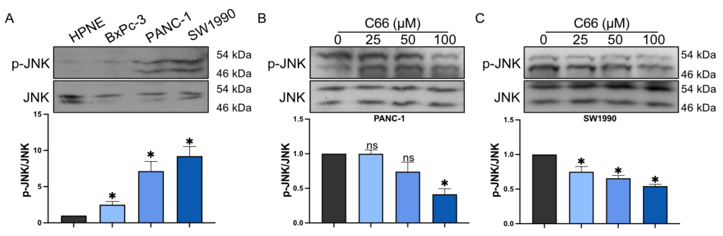 Molecules 27 03076 g005