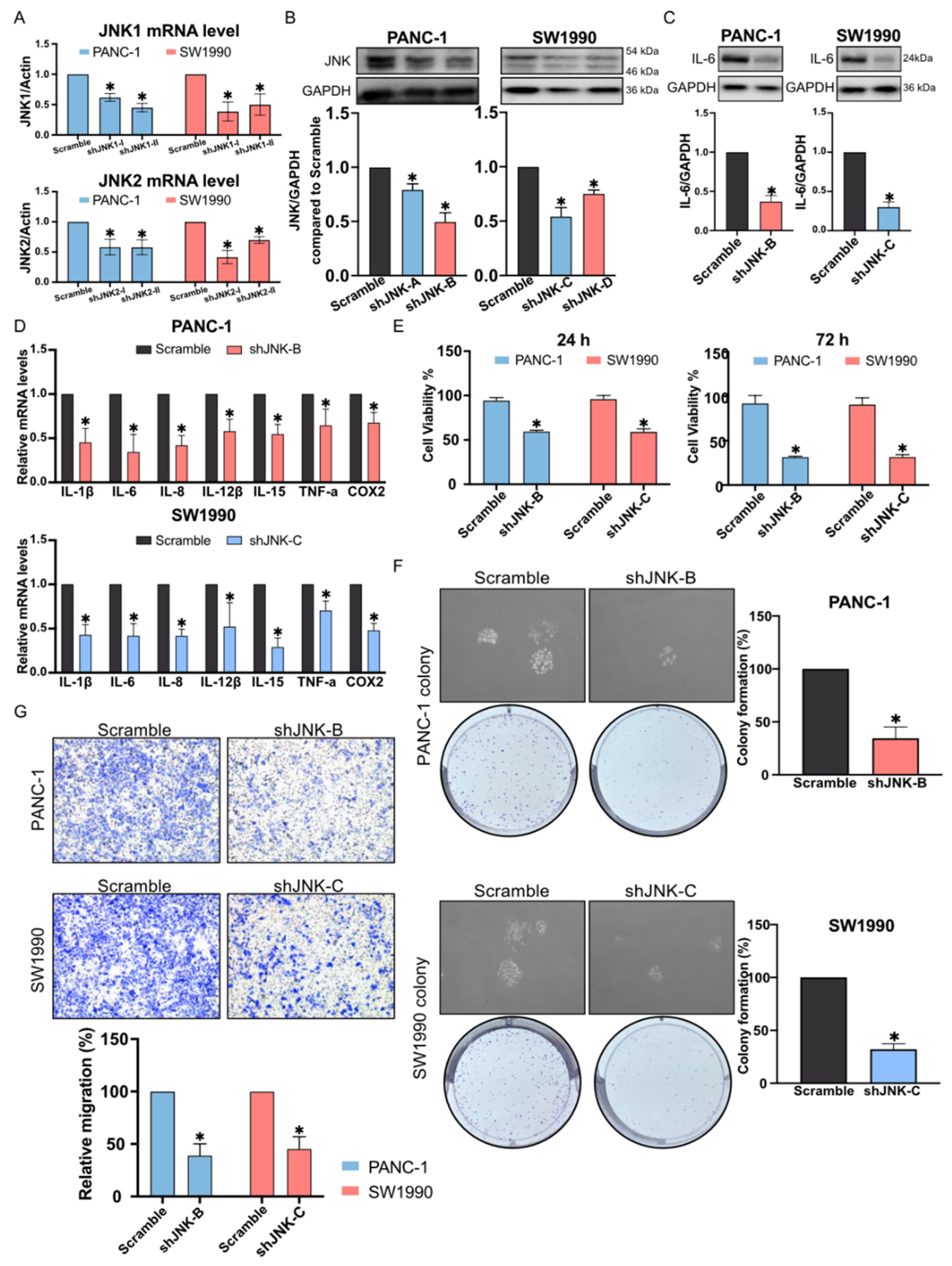 Molecules 27 03076 g006