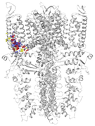 Molecules 27 03077 i003