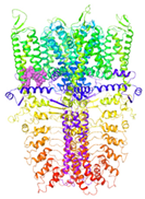 Molecules 27 03077 i009