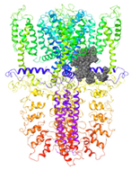 Molecules 27 03077 i011