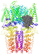 Molecules 27 03077 i015