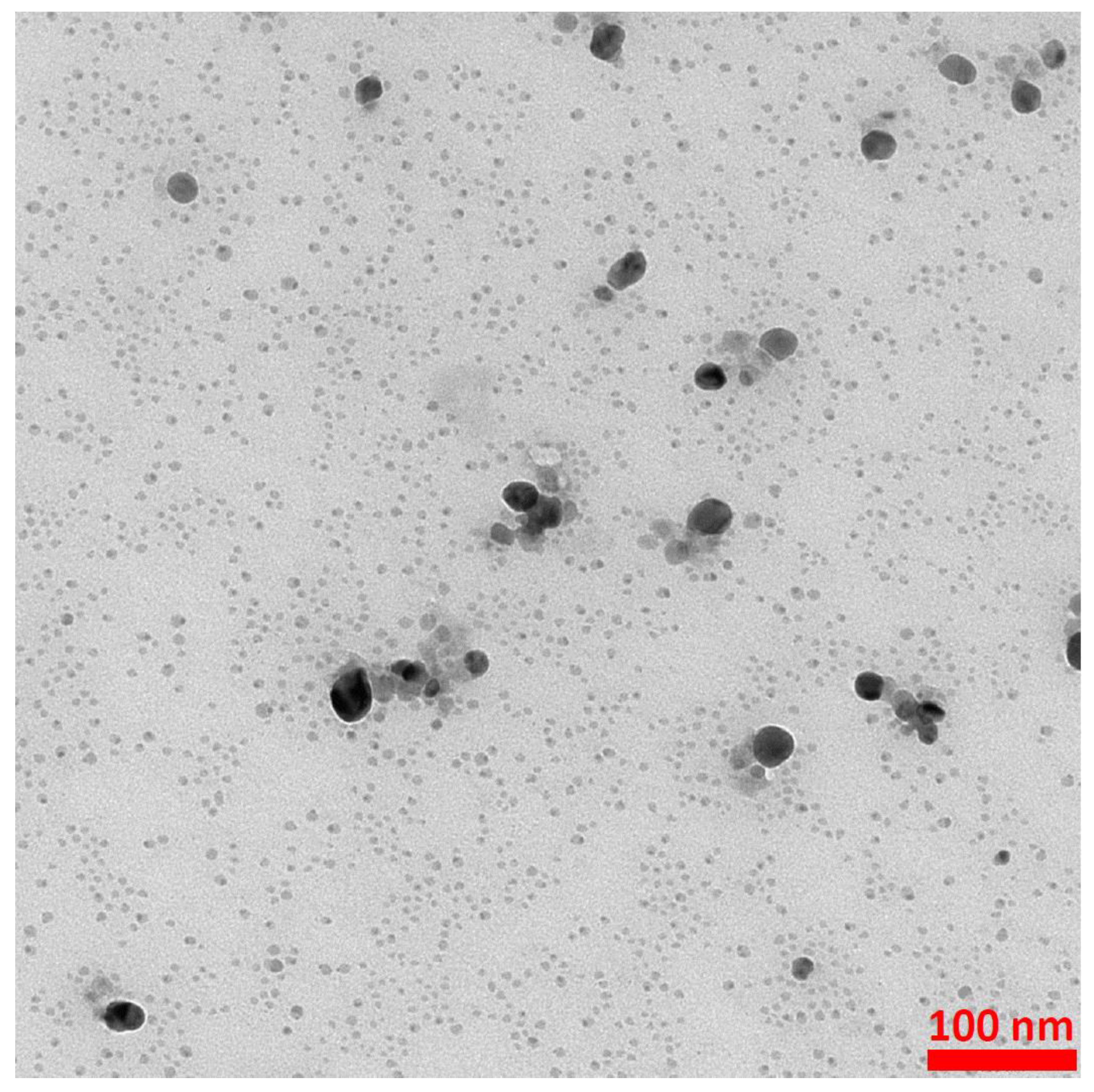 Molecules 27 03081 g010