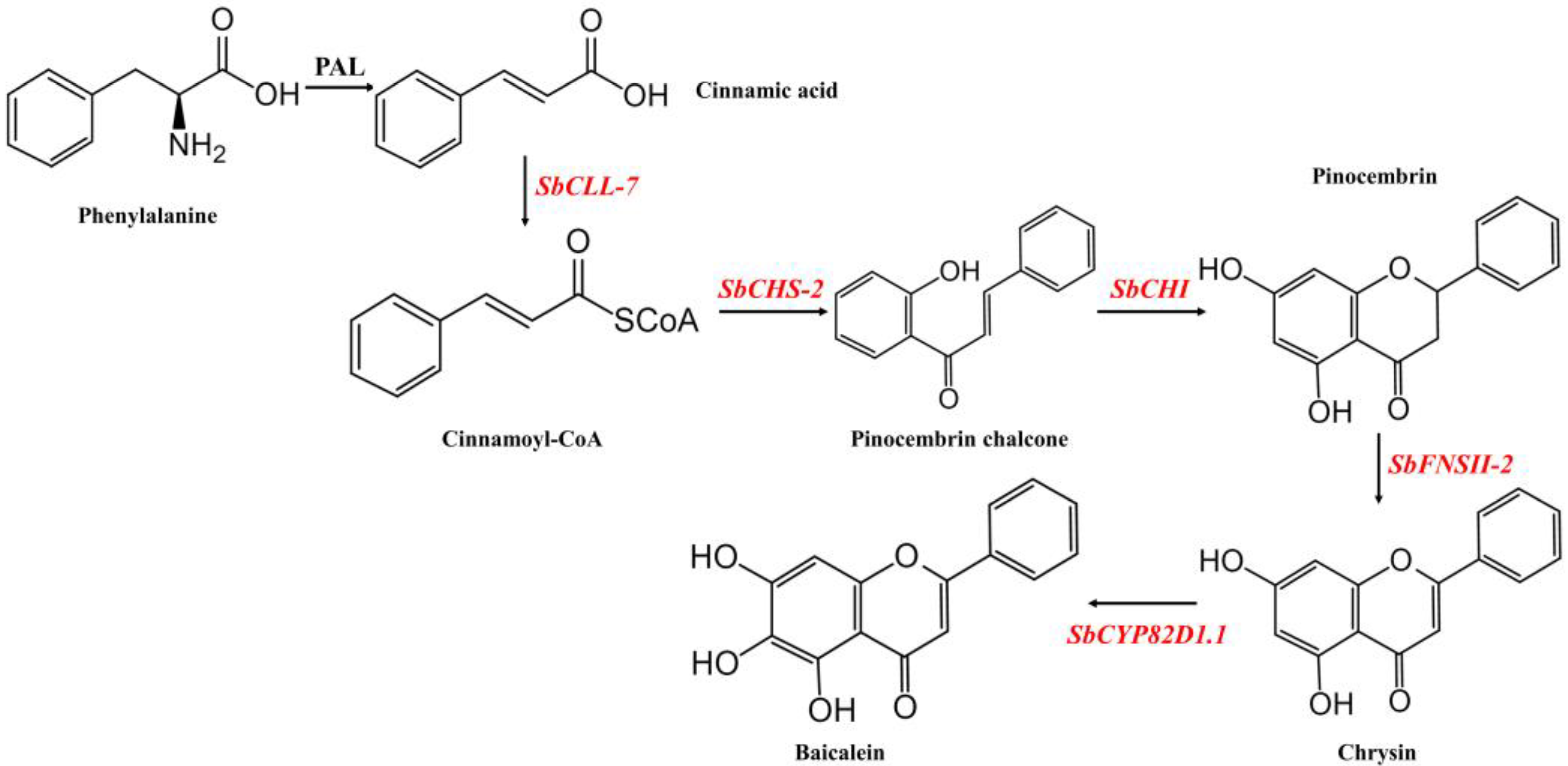 Molecules 27 03086 g001