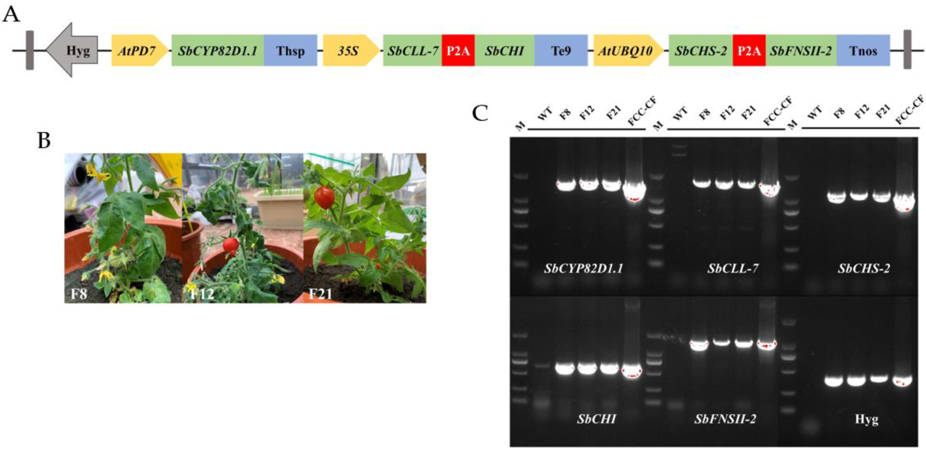 Molecules 27 03086 g002