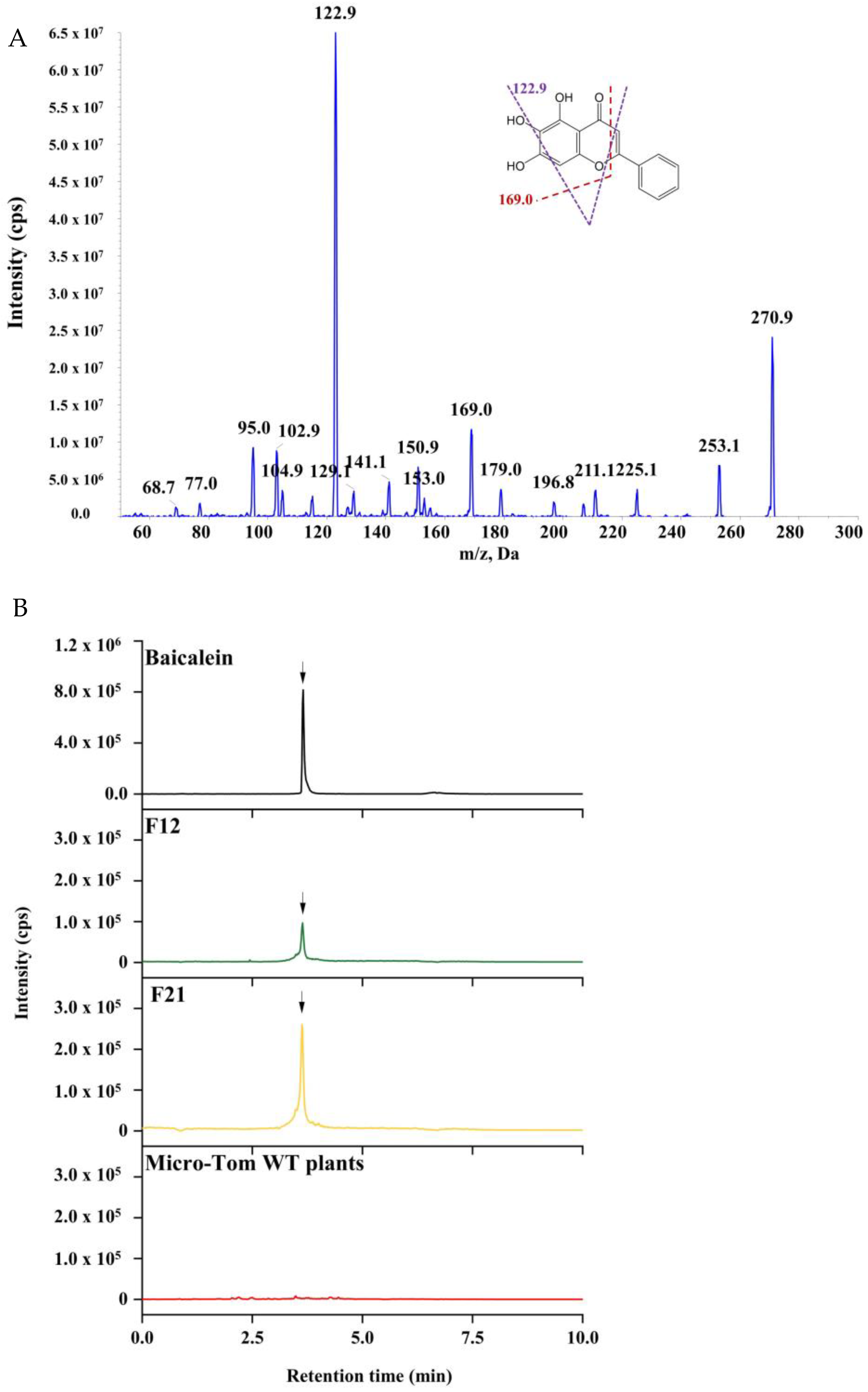 Molecules 27 03086 g004