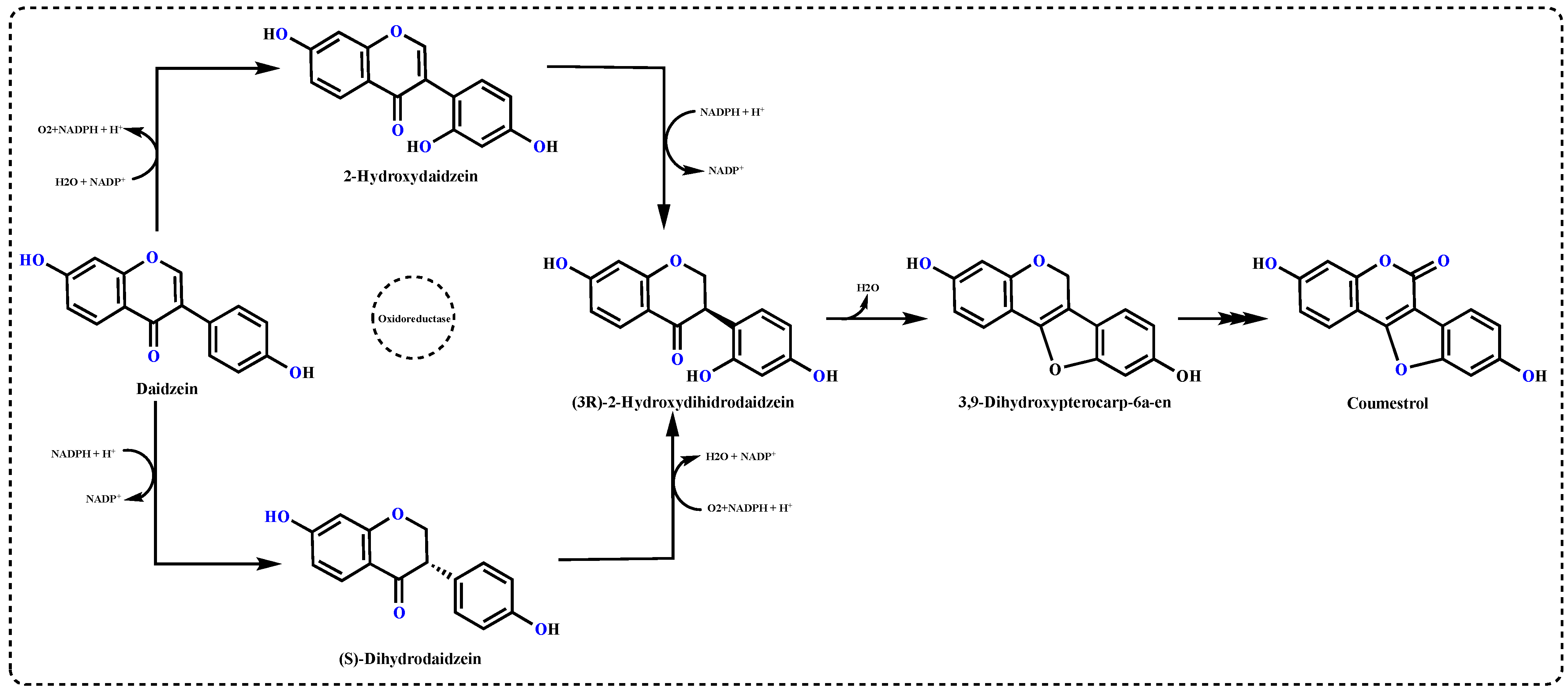 Molecules 27 03091 g002