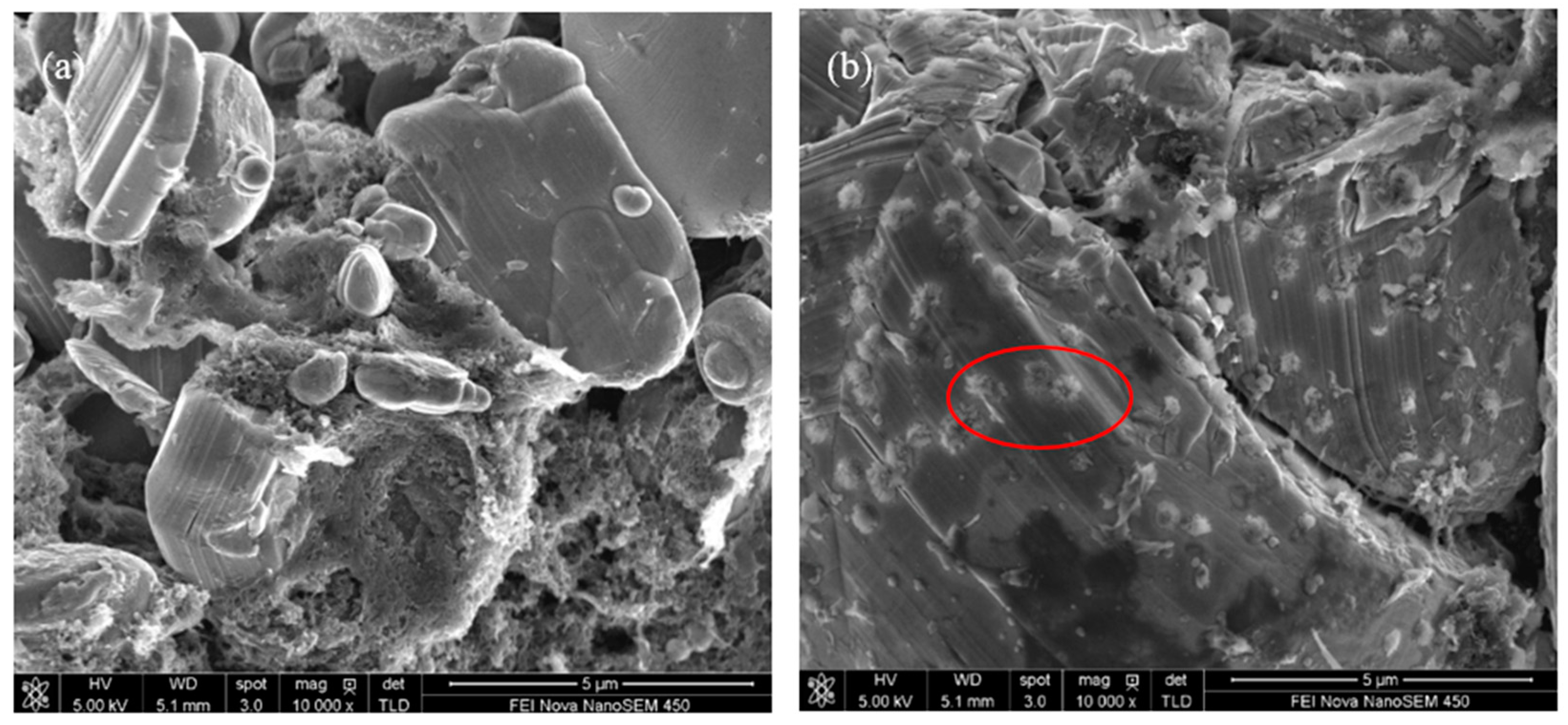 Molecules 27 03107 g006a