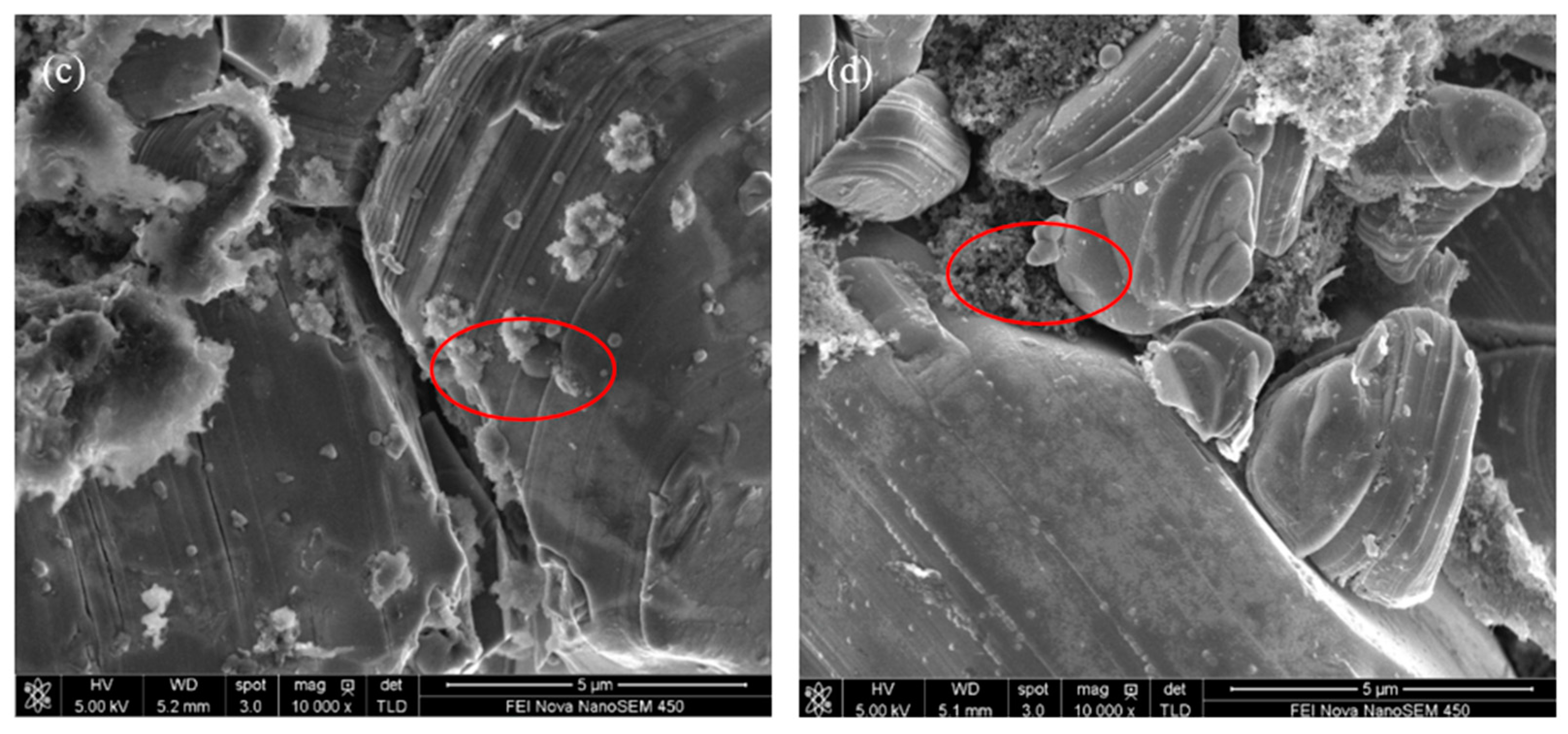 Molecules 27 03107 g006b