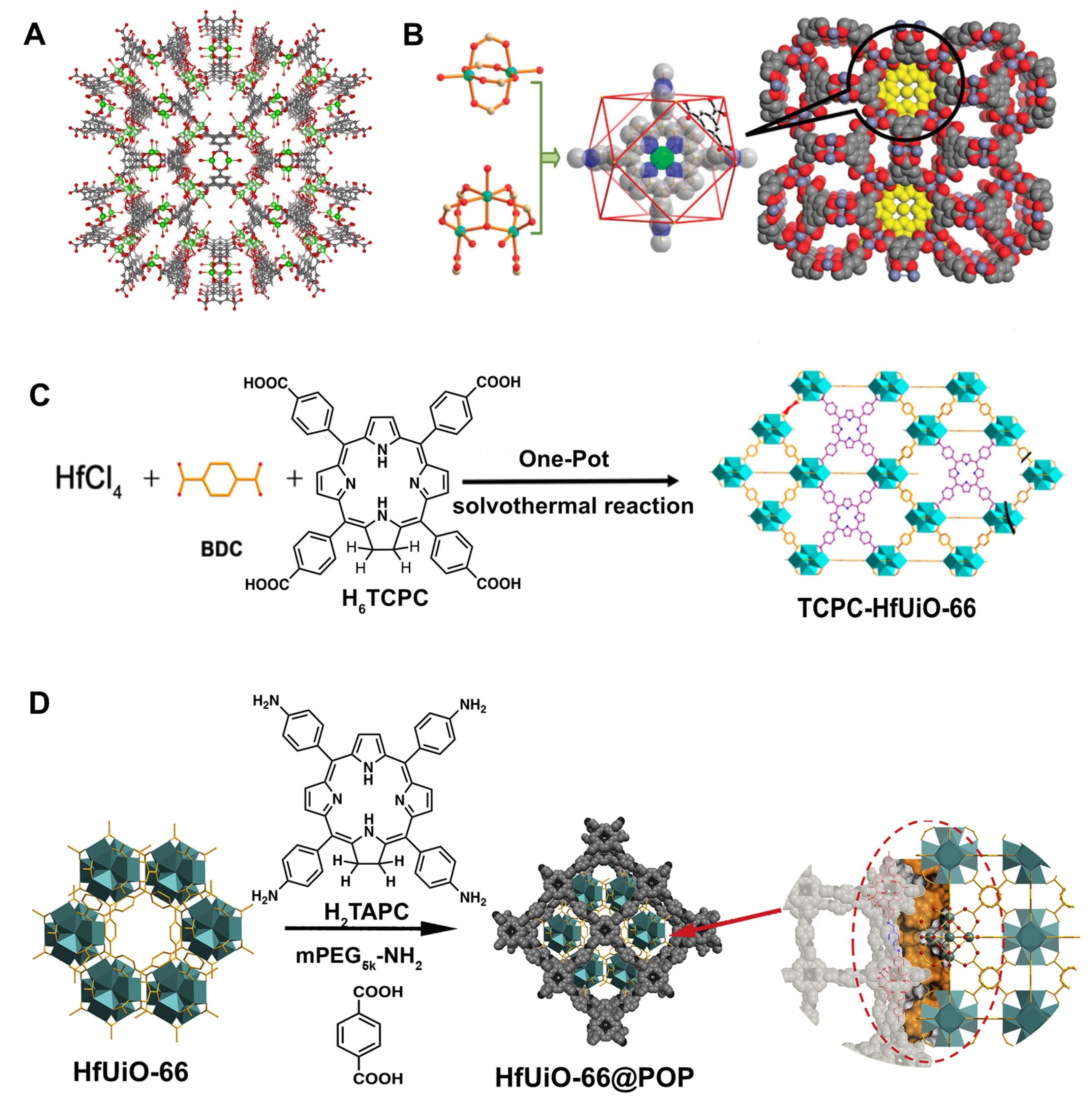 Molecules 27 03111 g004