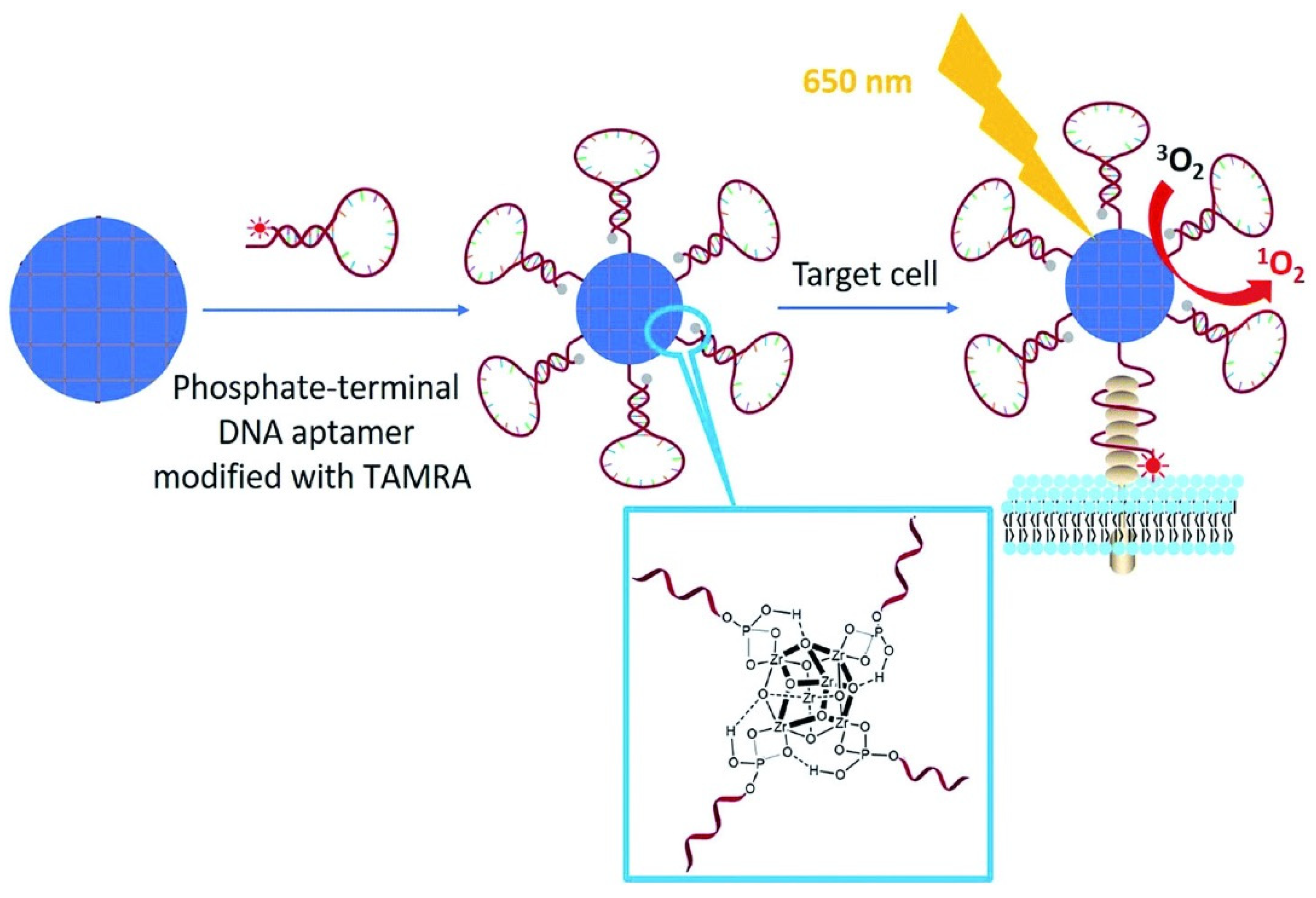 Molecules 27 03111 g006