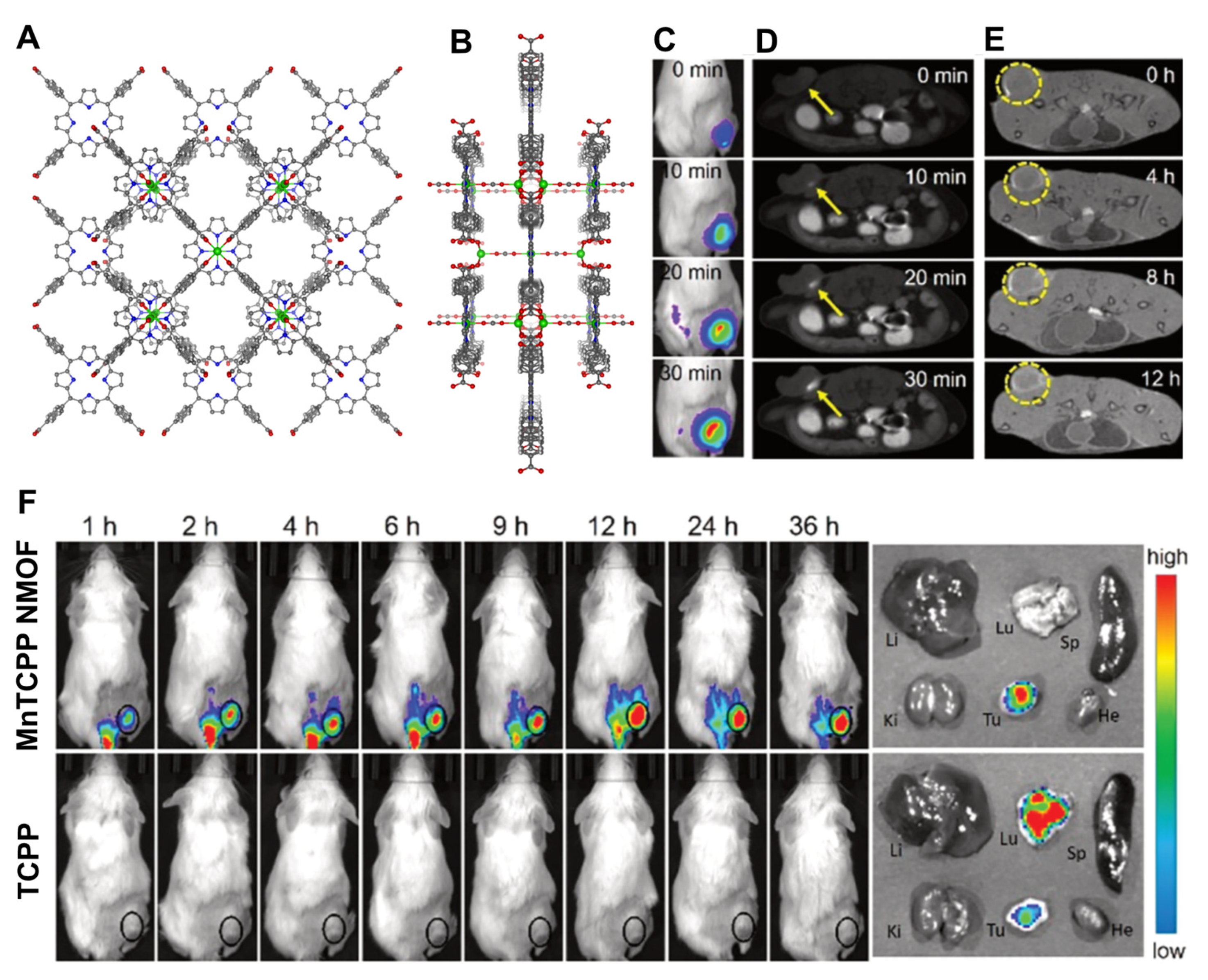 Molecules 27 03111 g009