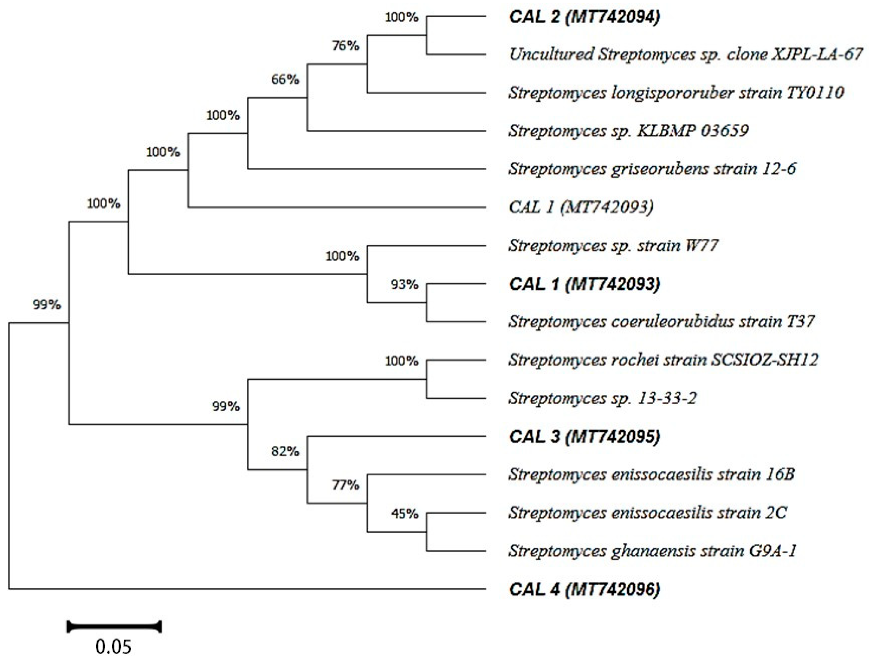 Molecules 27 03123 g001 Molecules 27 03123 g001