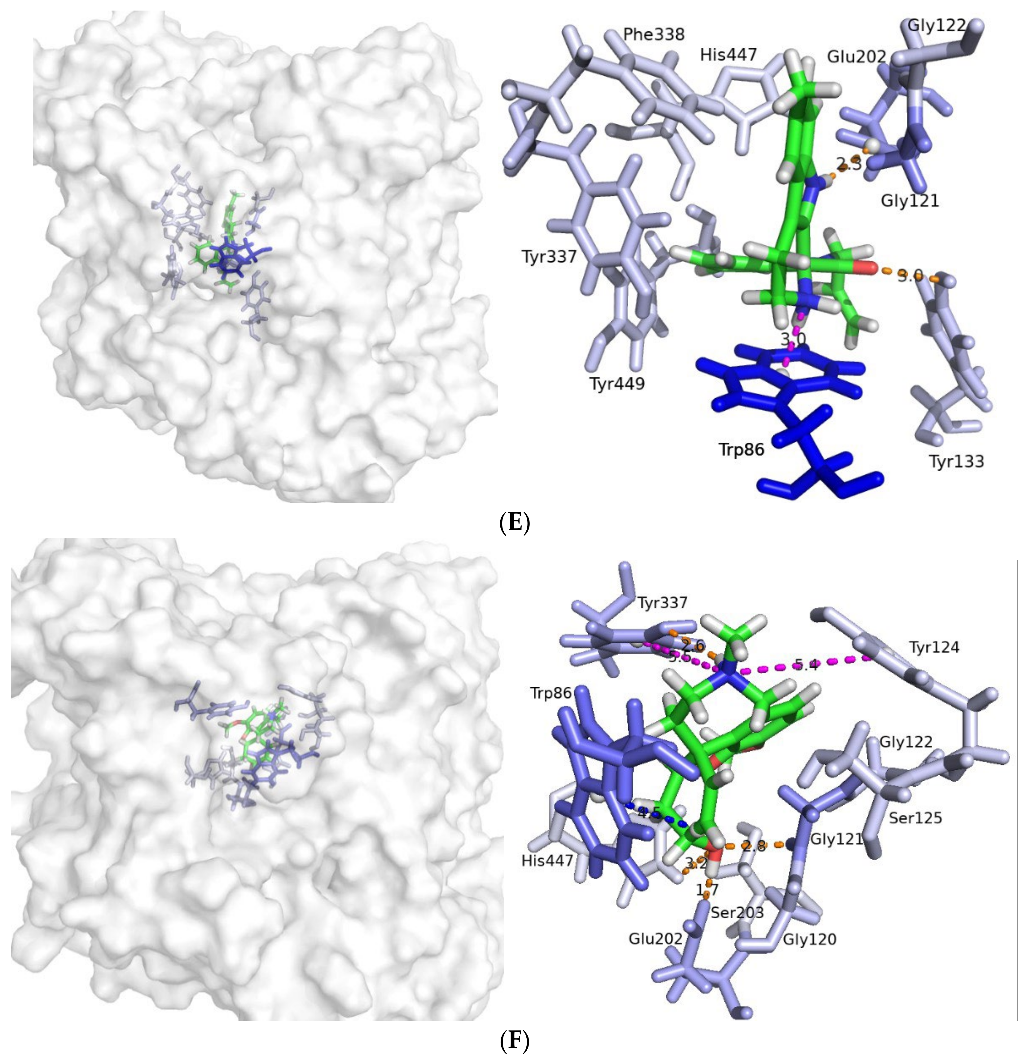 Molecules 27 03139 g005c