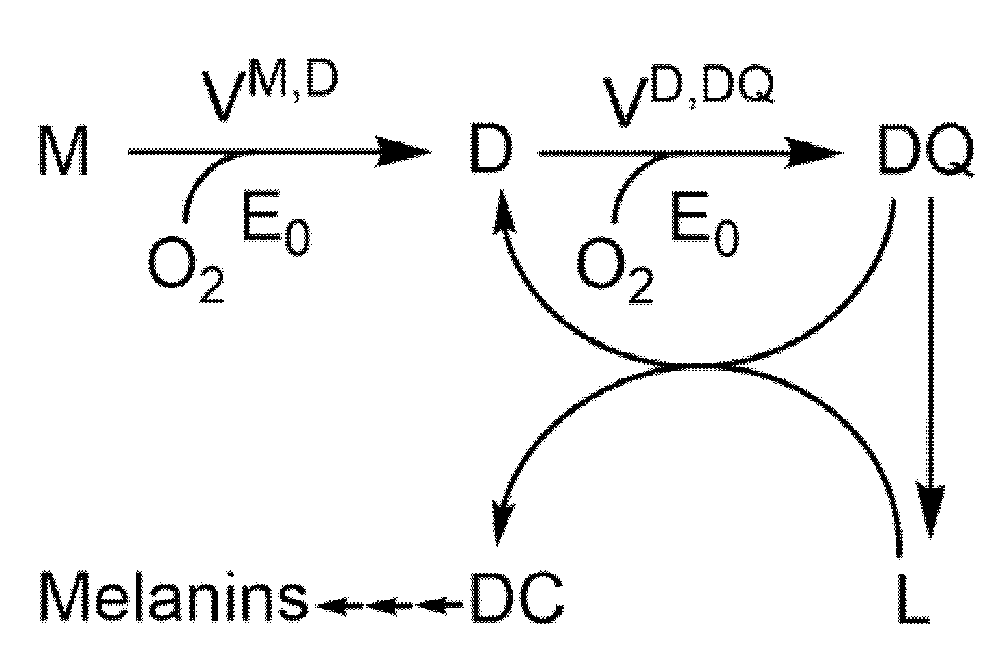 Molecules 27 03141 sch001 Molecules 27 03141 sch001