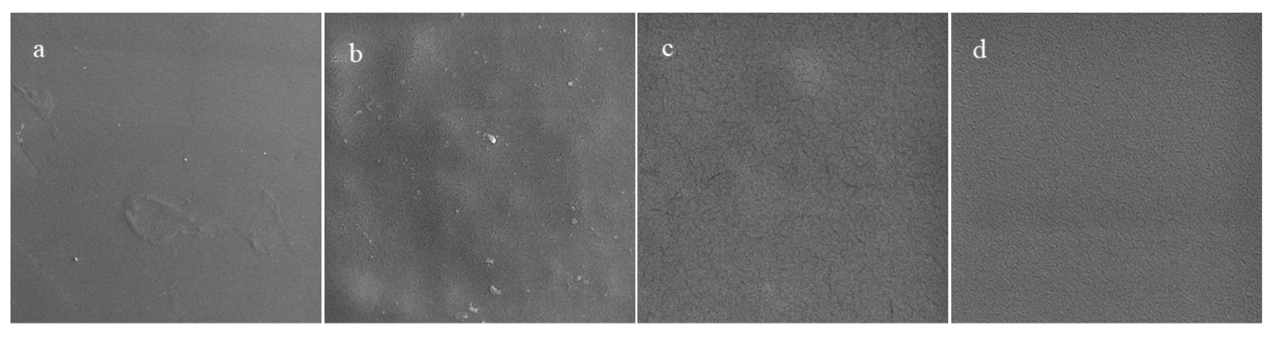 Molecules 27 03168 g004