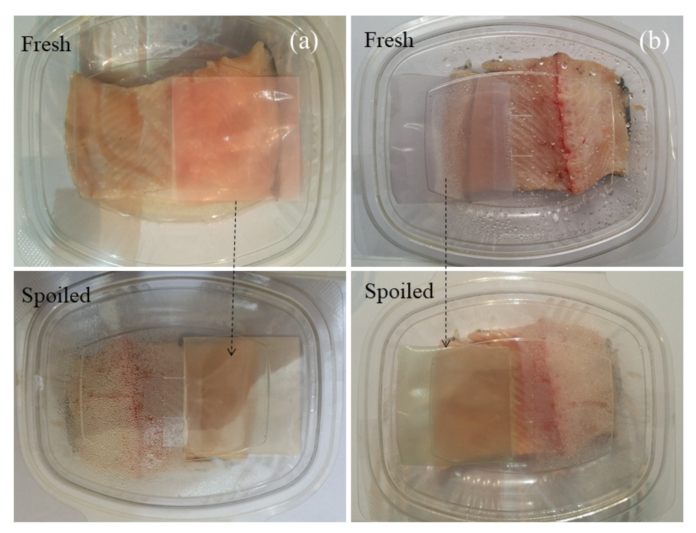 Molecules 27 03168 g006
