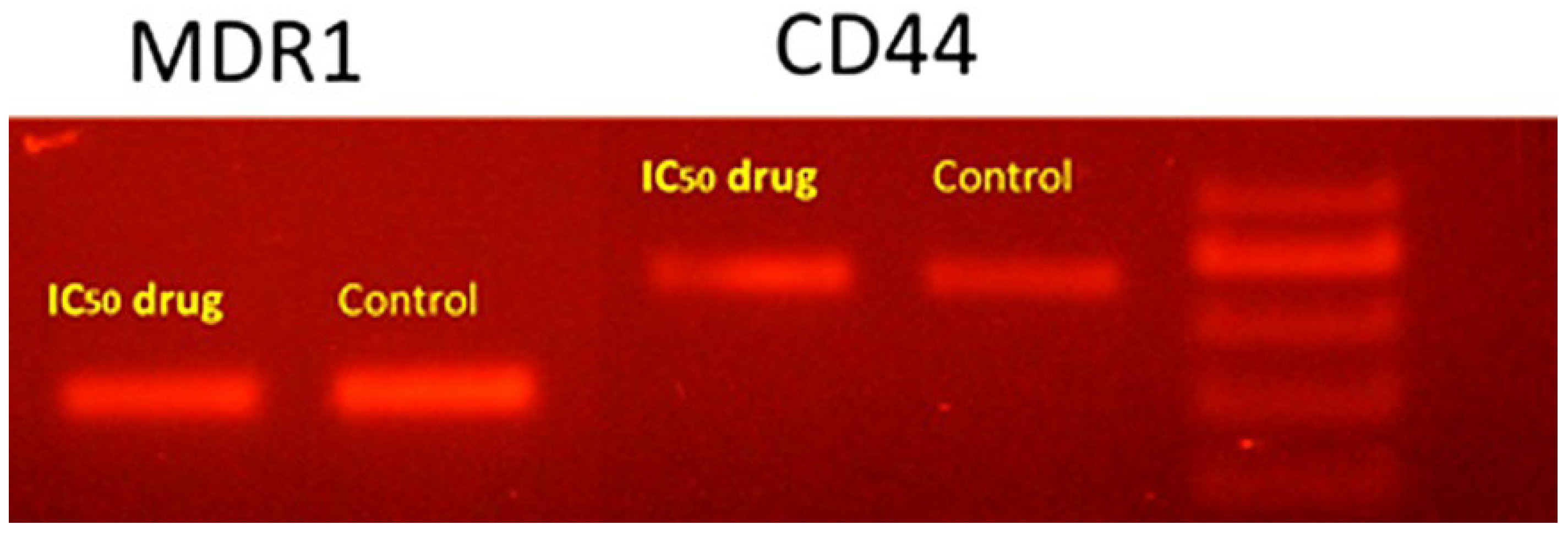 Molecules 27 03177 g004