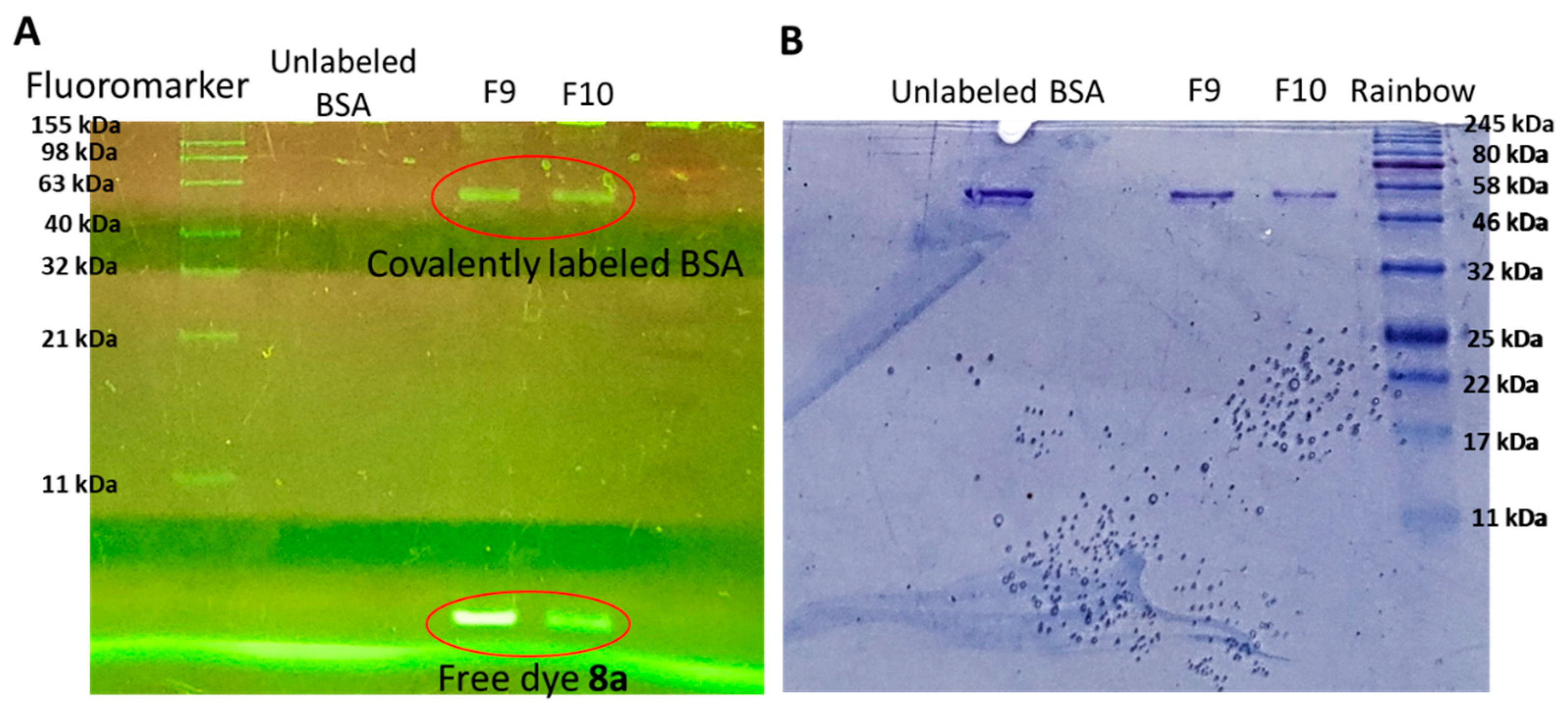 Molecules 27 03191 g009