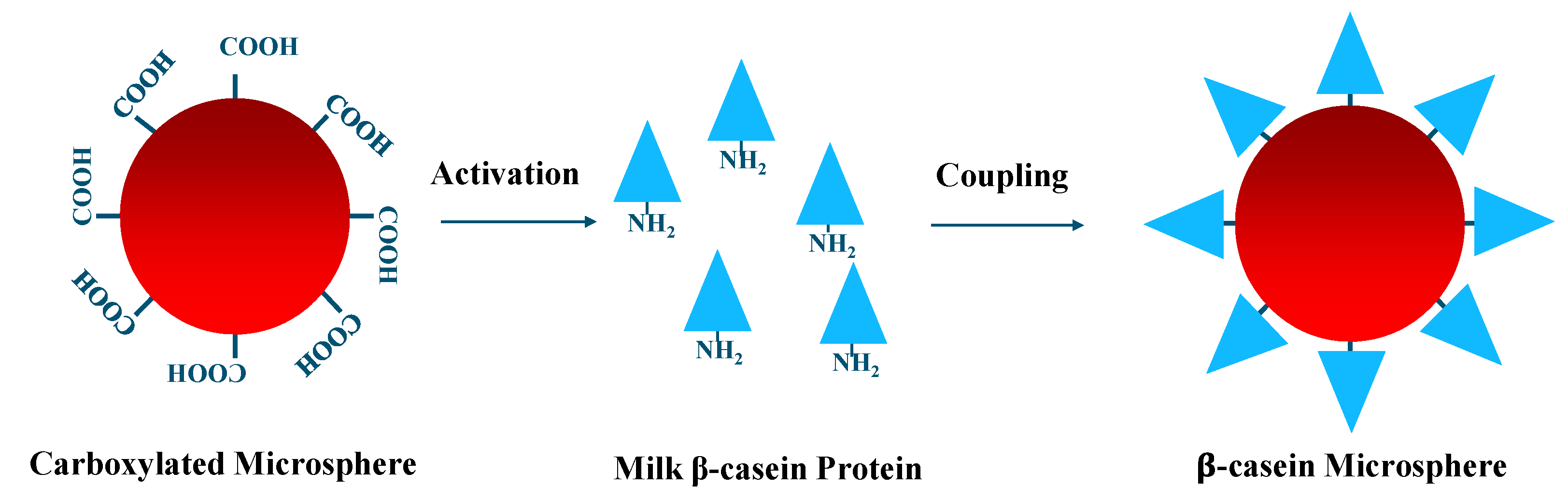 Molecules 27 03199 g008
