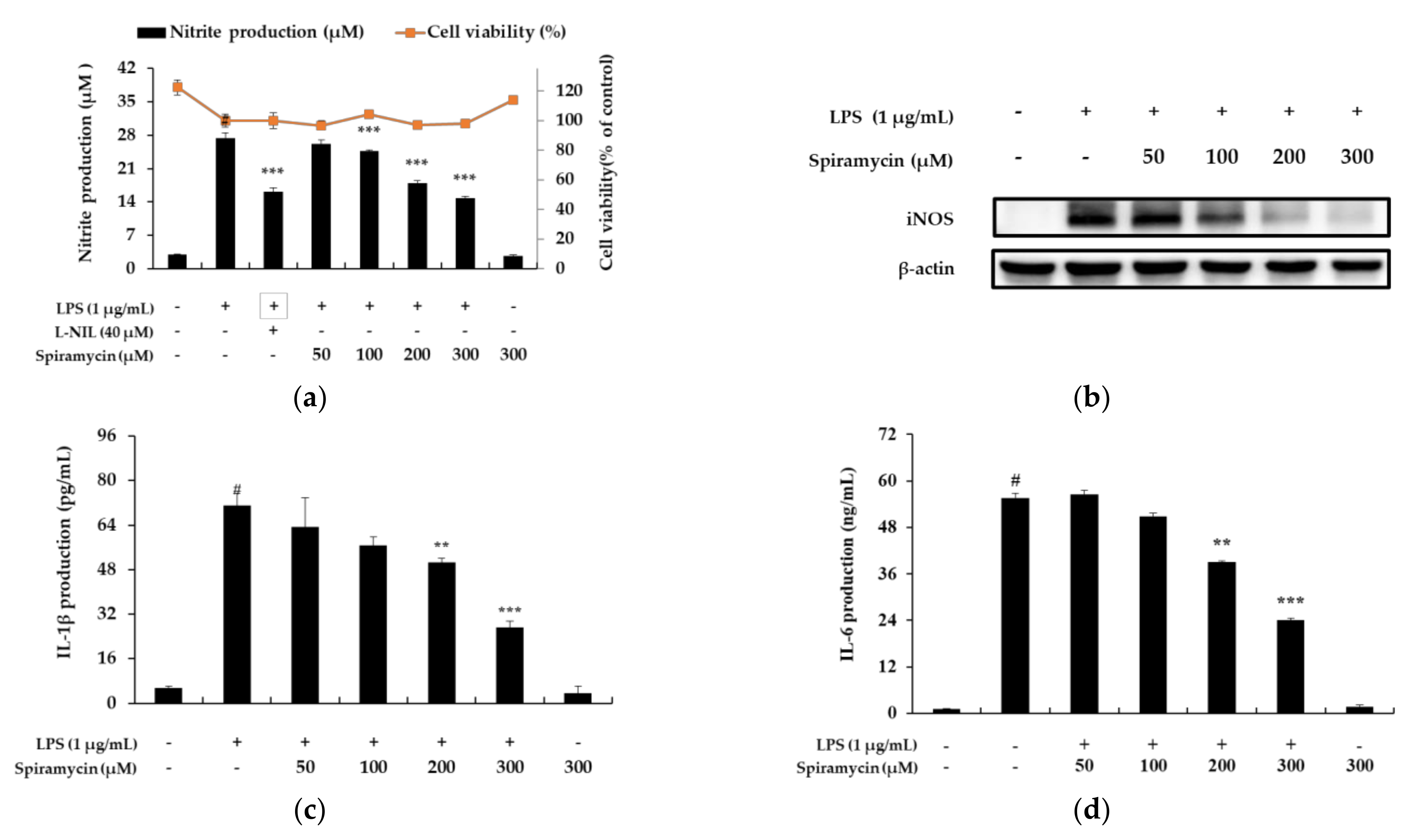 Molecules Free Full Text Anti Inflammatory Effects Of Spiramycin In Lps Activated Raw 264 7 Macrophages Html