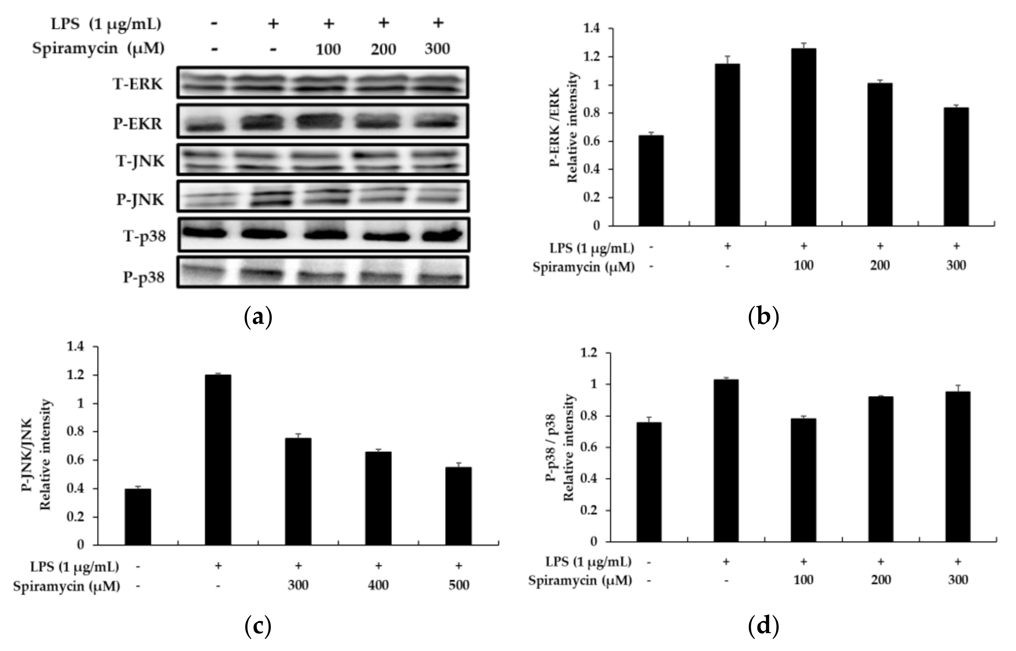 Molecules Free Full Text Anti Inflammatory Effects Of Spiramycin In Lps Activated Raw 264 7 Macrophages Html