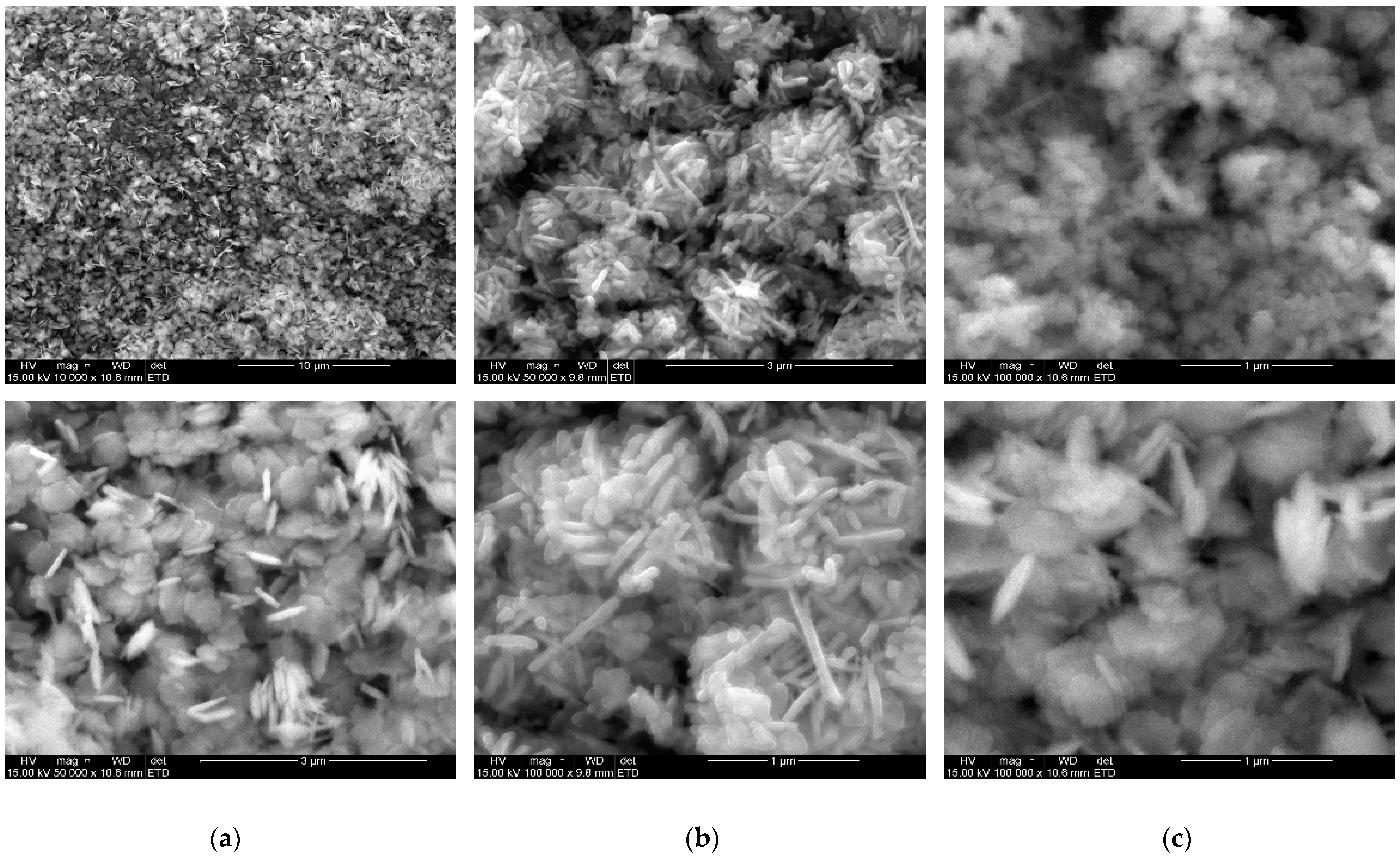 Molecules 27 03206 g004