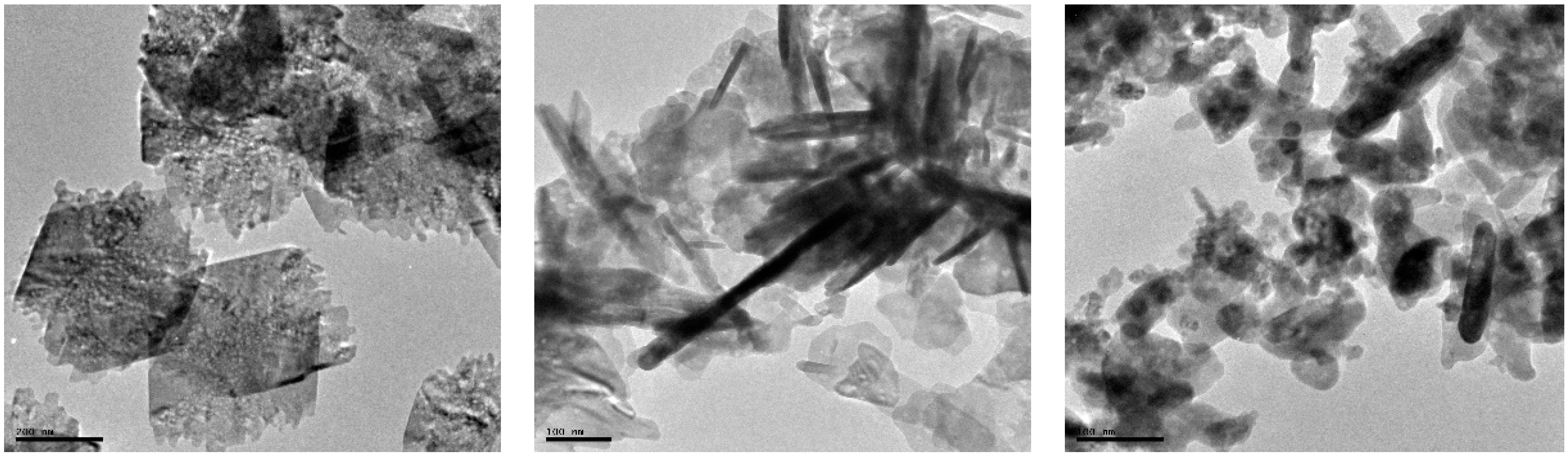 Molecules 27 03206 g005a