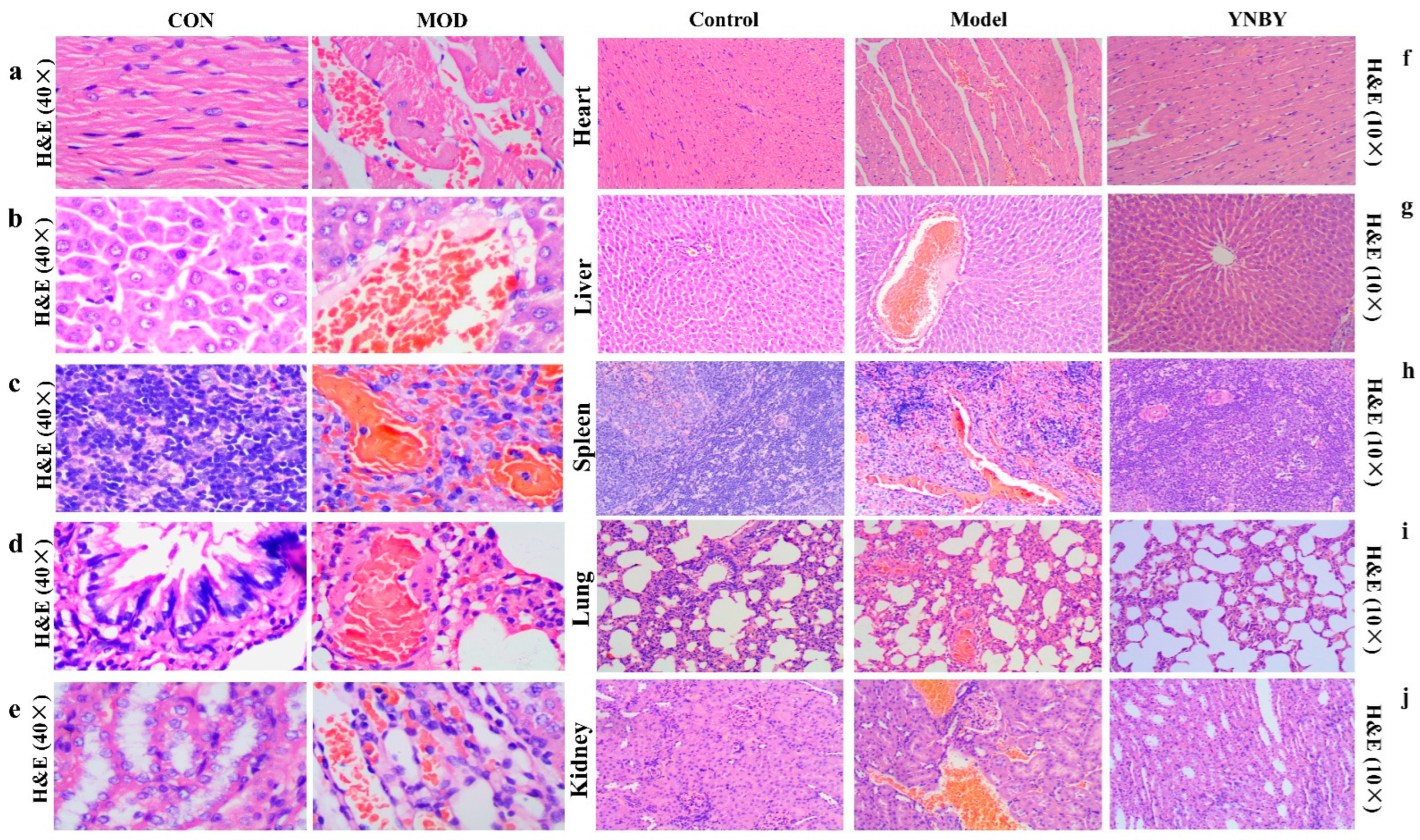 Molecules 27 03208 g002 Molecules 27 03208 g002