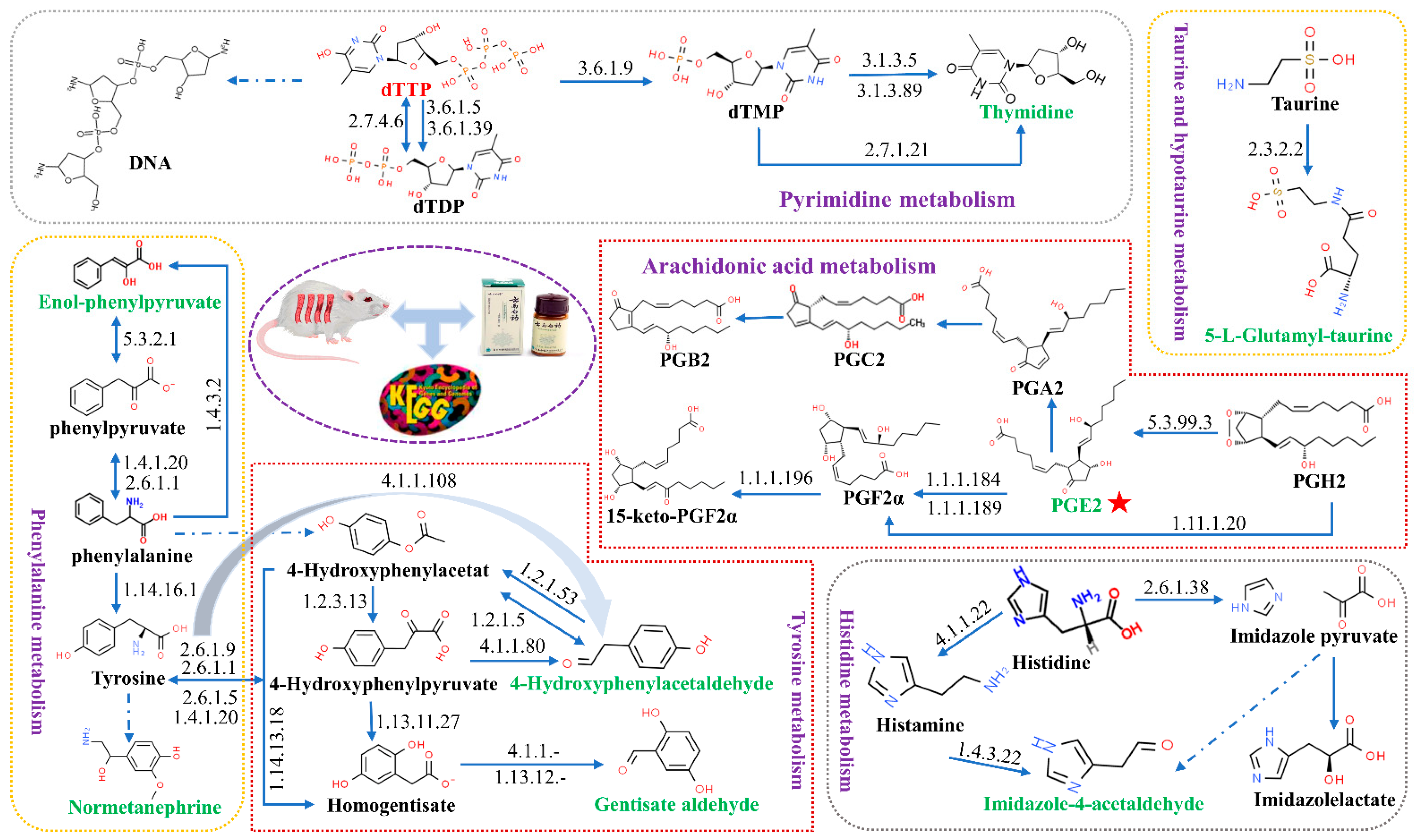 Molecules 27 03208 g008 Molecules 27 03208 g008