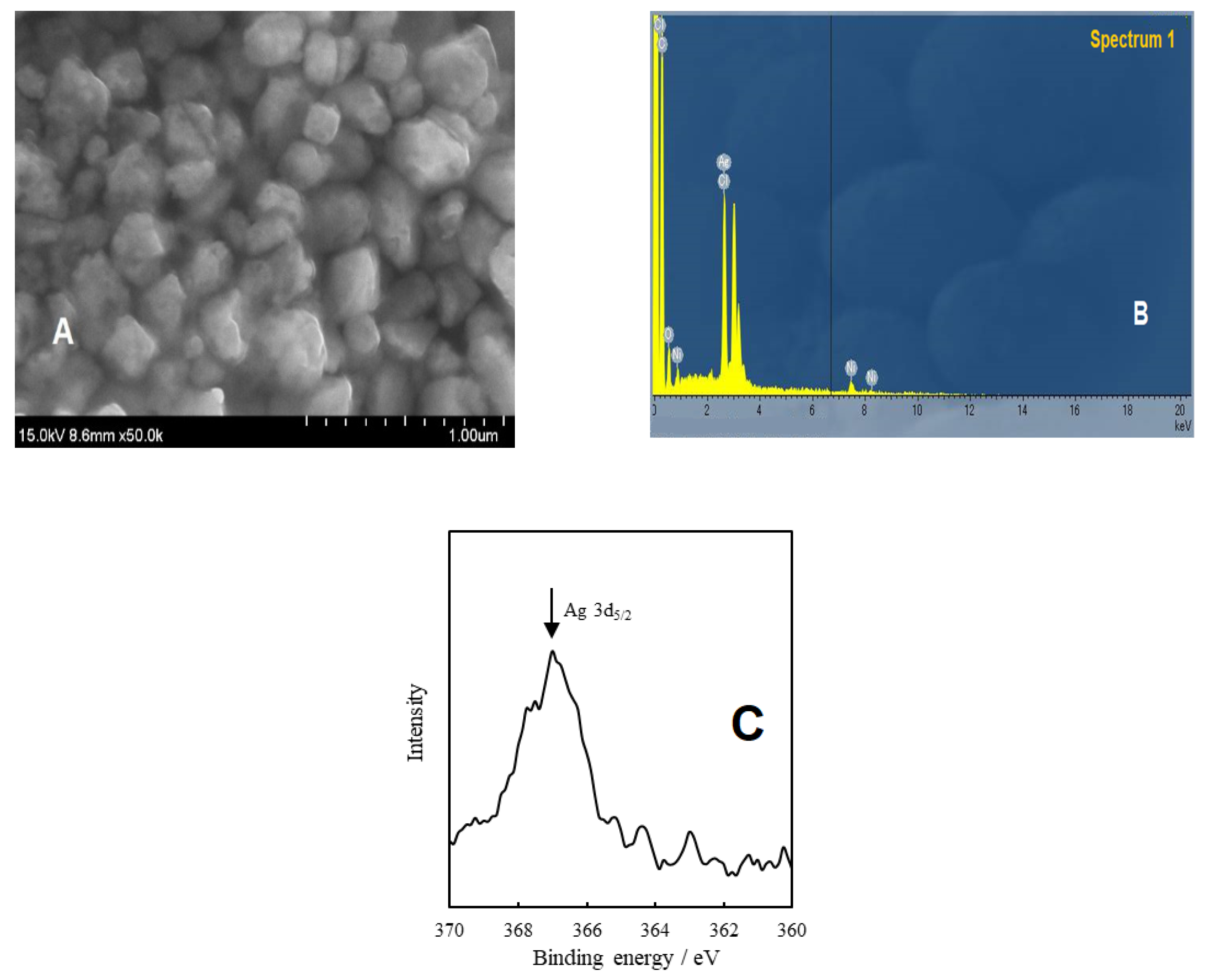 Molecules 27 03210 g004