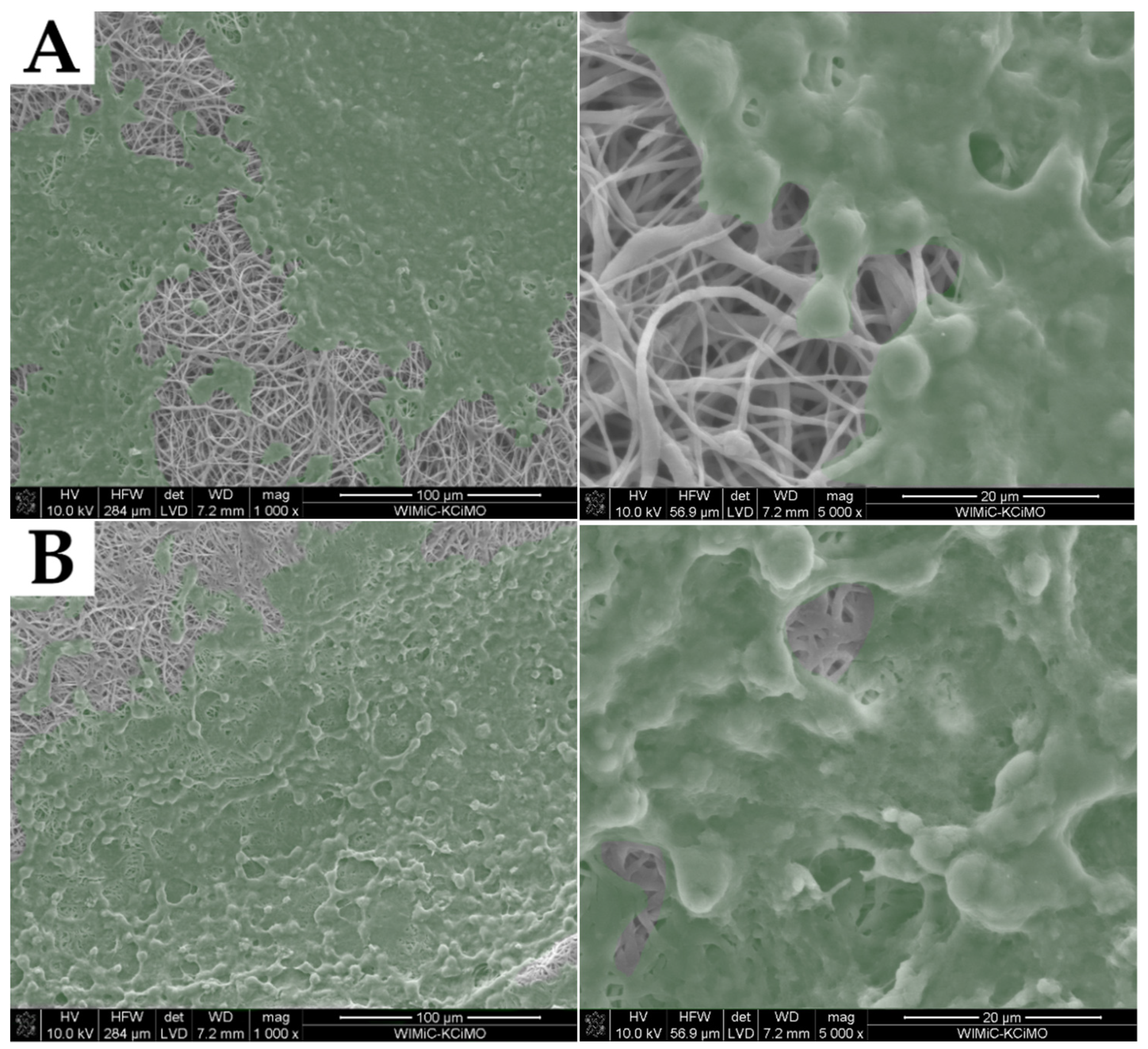 Molecules 27 03232 g011a