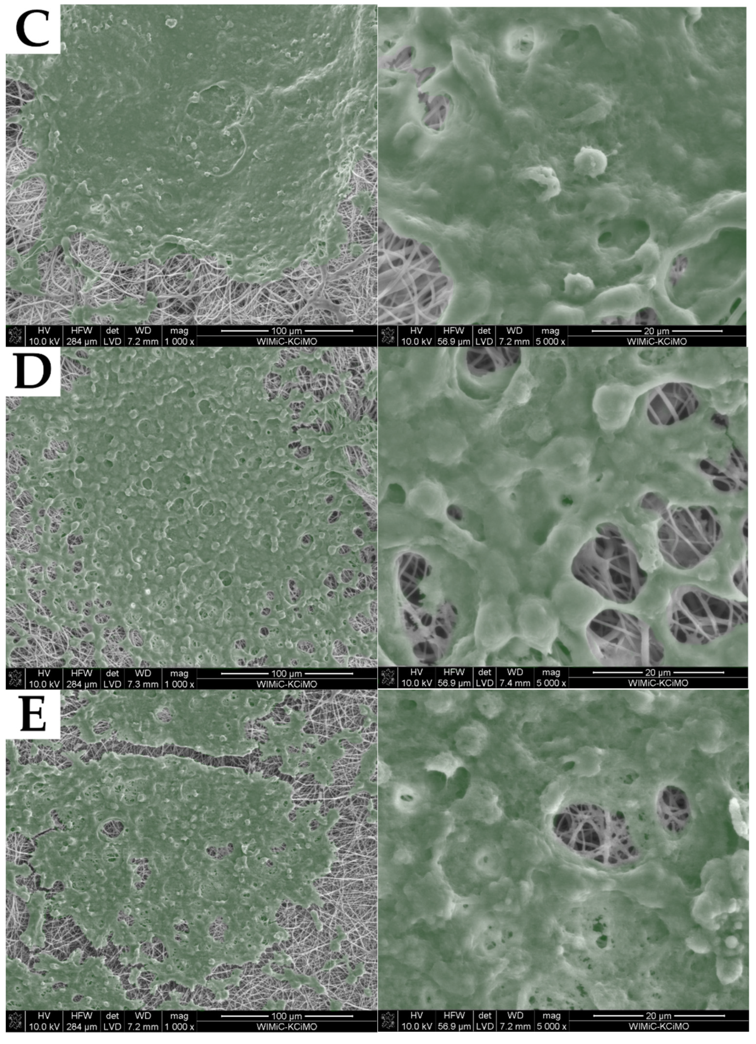 Molecules 27 03232 g011b