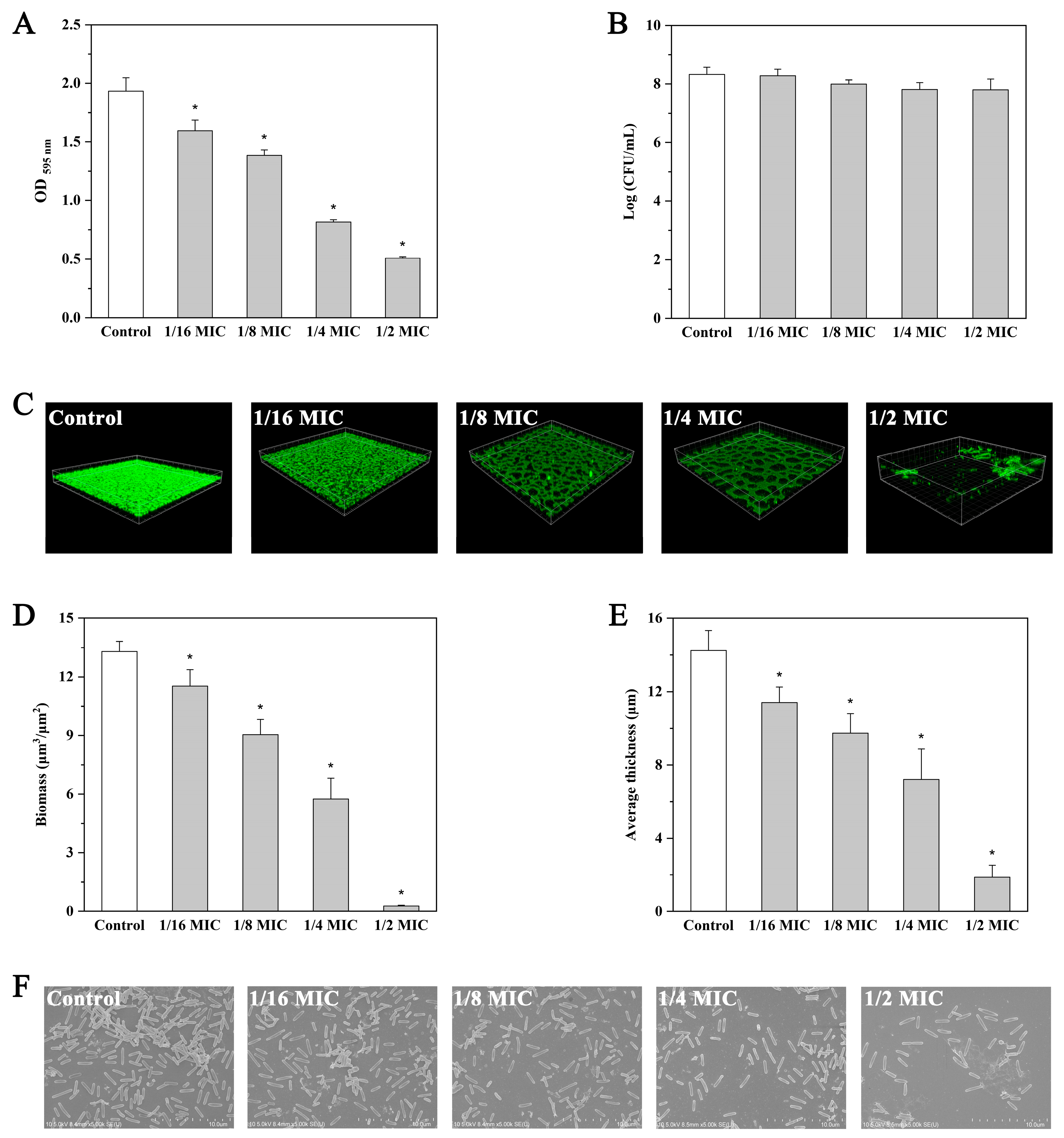 Molecules 27 03234 g003 Molecules 27 03234 g003