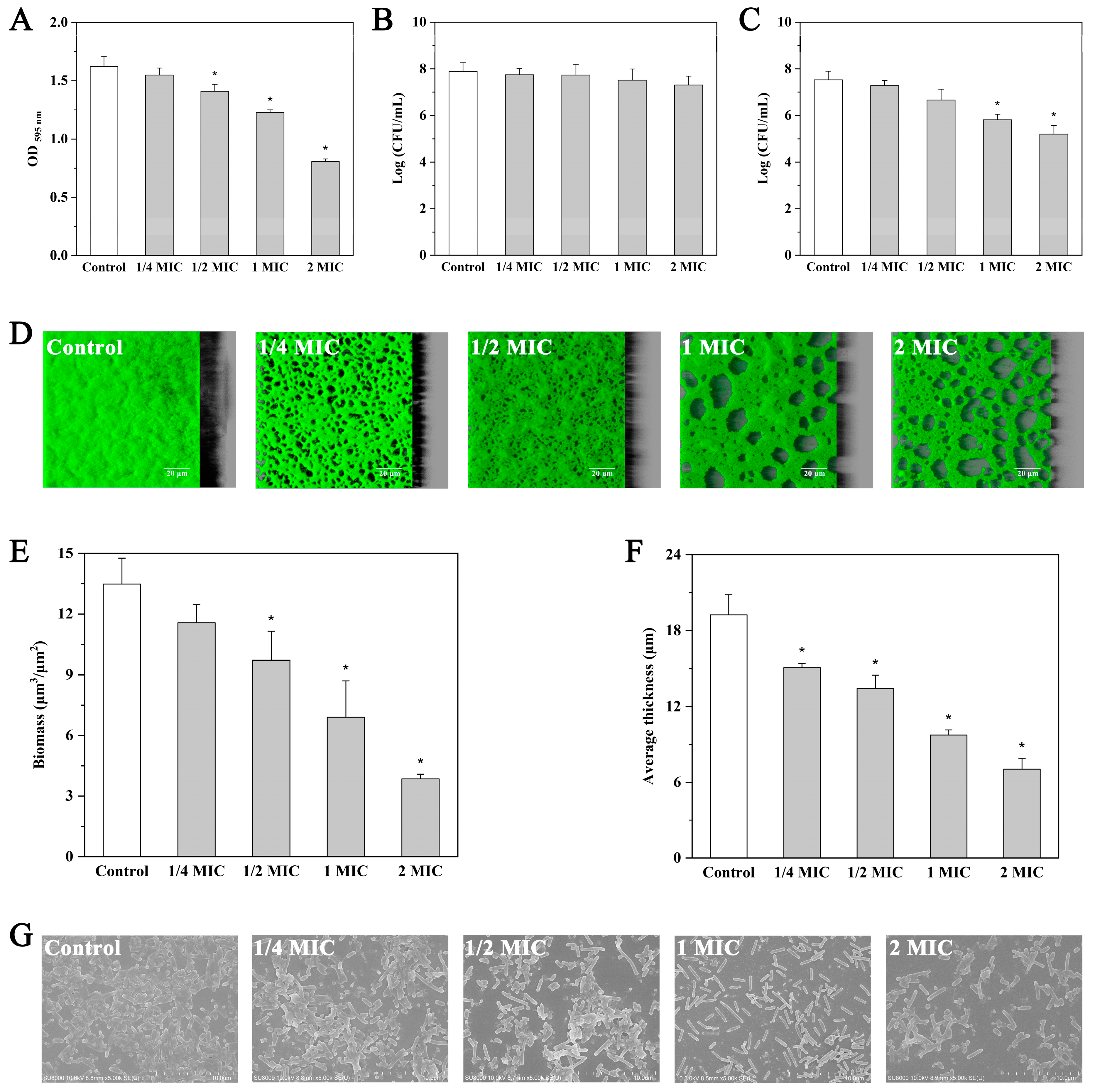 Molecules 27 03234 g004 Molecules 27 03234 g004