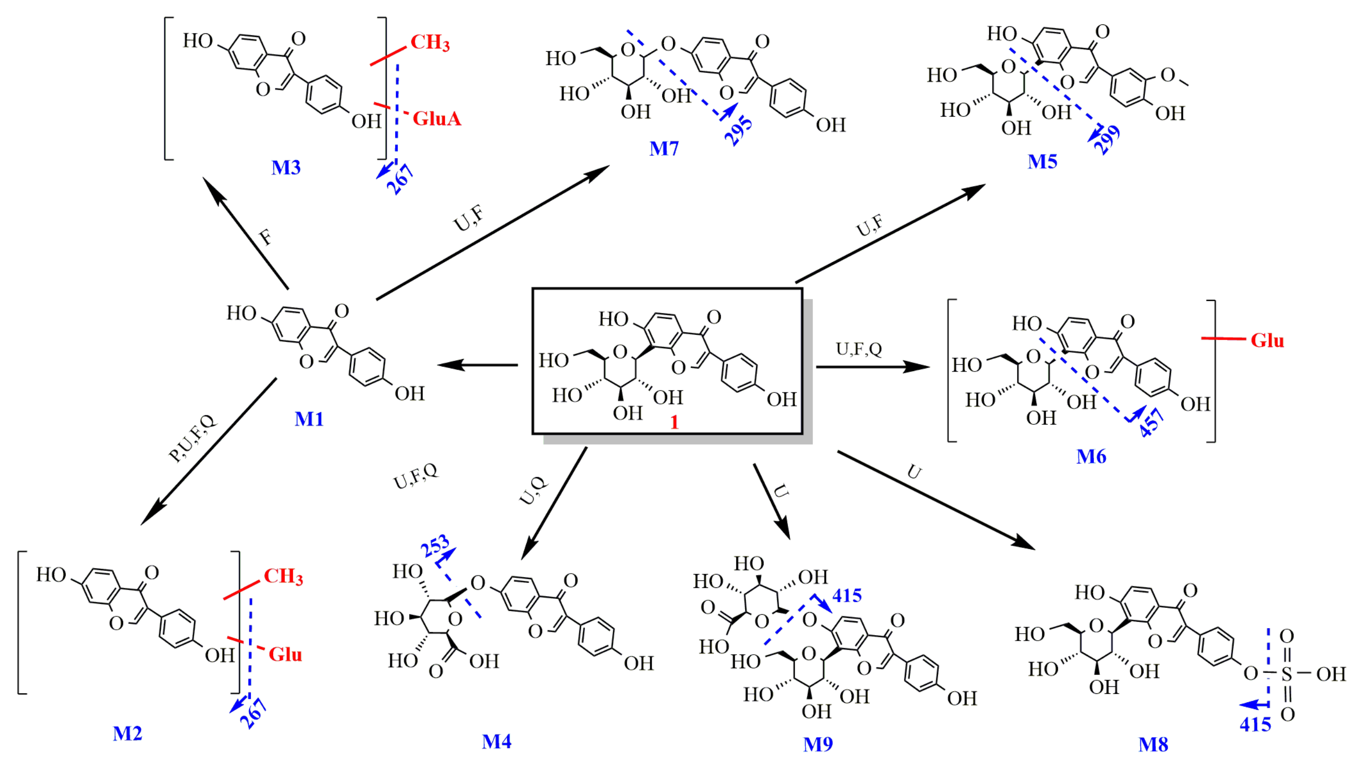 Molecules 27 03245 g006
