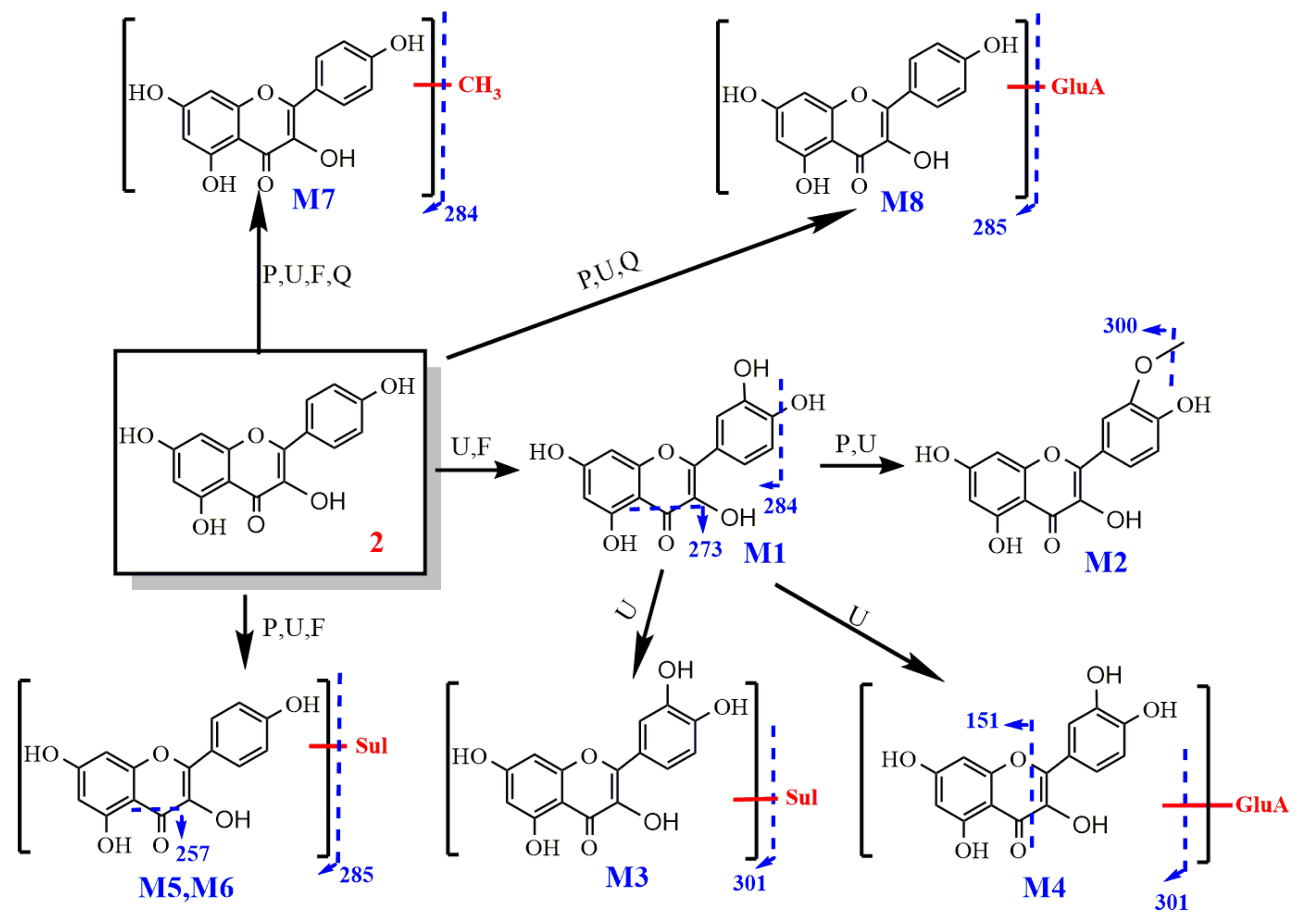 Molecules 27 03245 g008