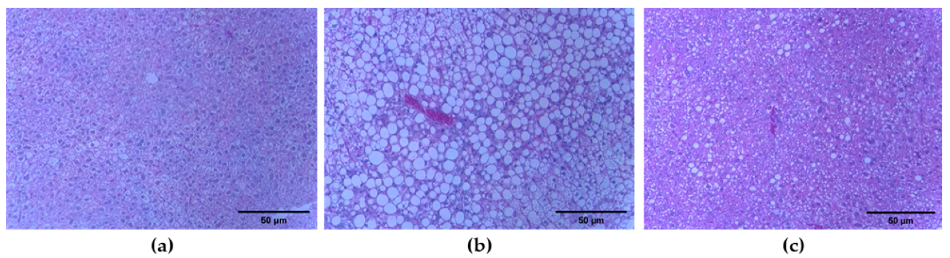 Molecules 27 03248 g005 Molecules 27 03248 g005