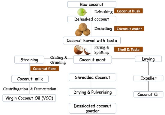 practical and affordable electric coconut meat