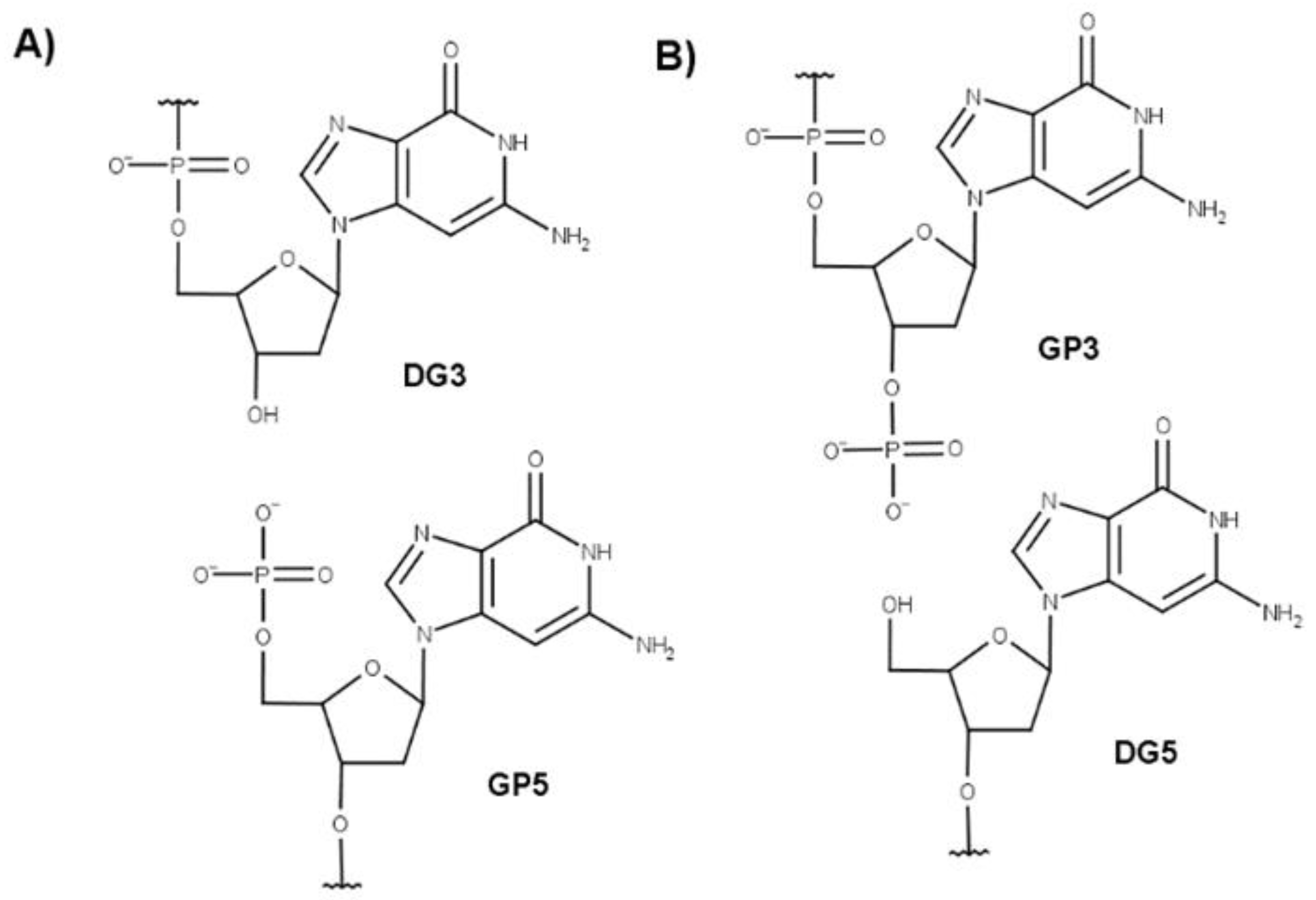 Molecules 27 03256 g001 Molecules 27 03256 g001