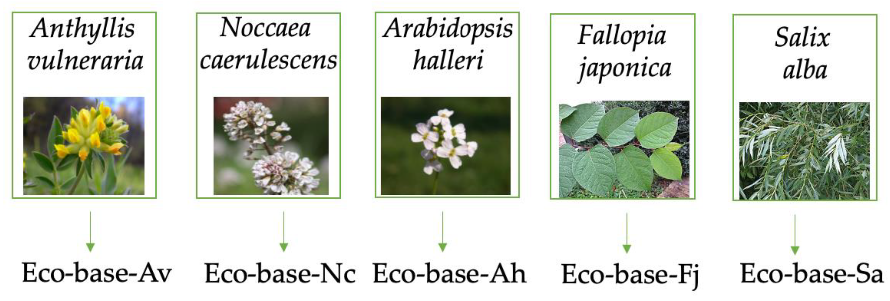 Molecules 27 03306 g001