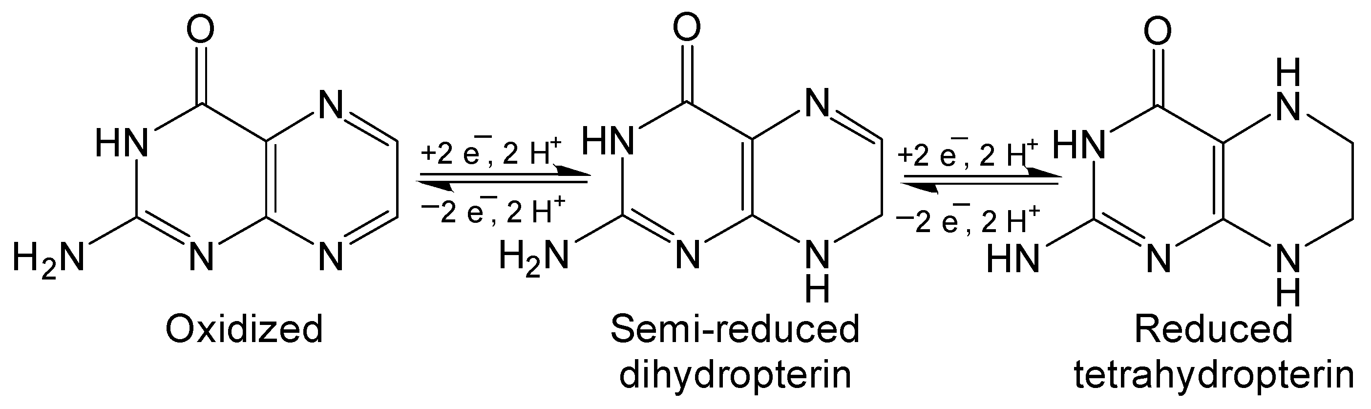 Molecules 27 03324 g004 Molecules 27 03324 g004